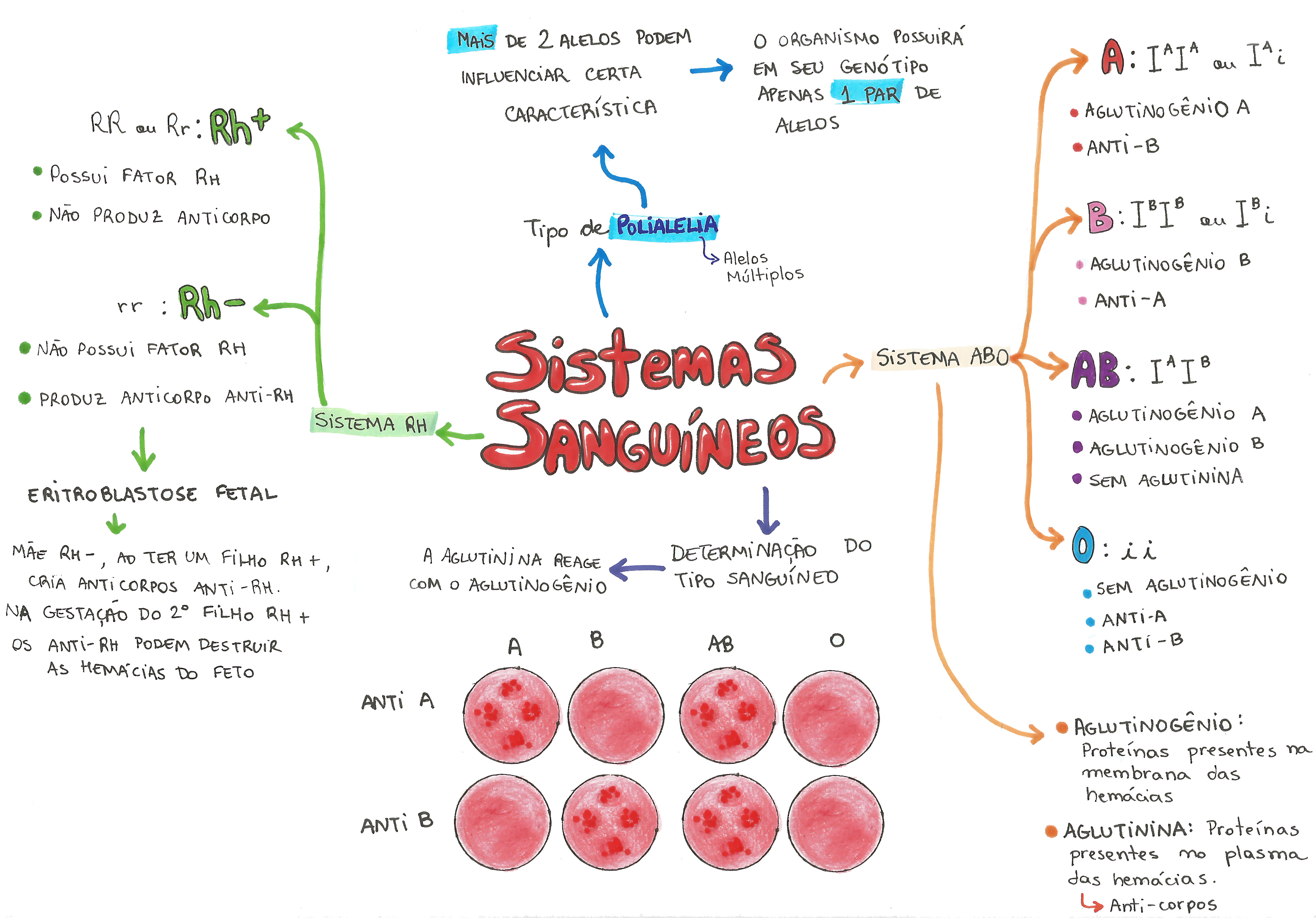 SISTEMA ABO E FATOR RH
