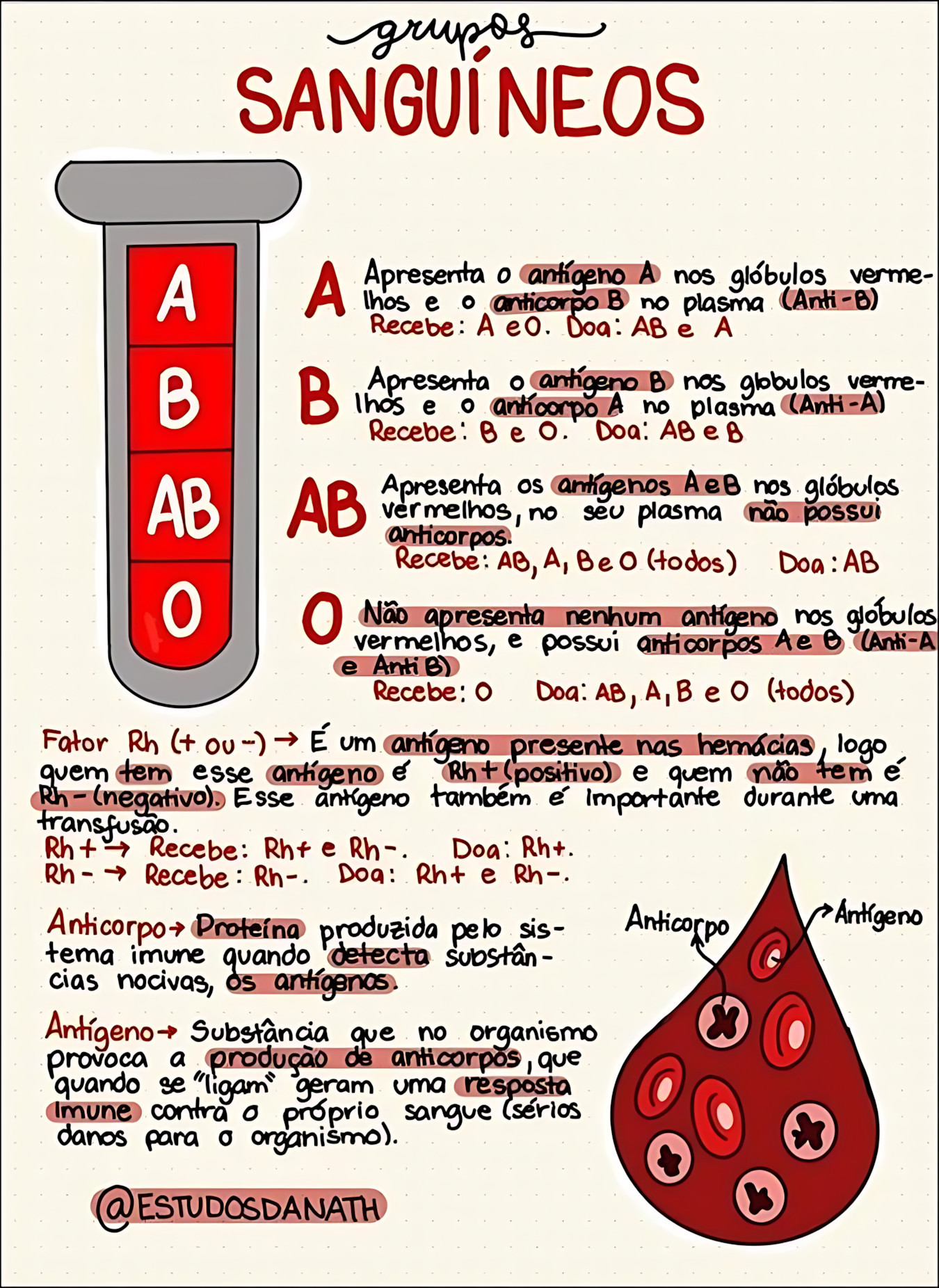 SISTEMA ABO E FATOR RH