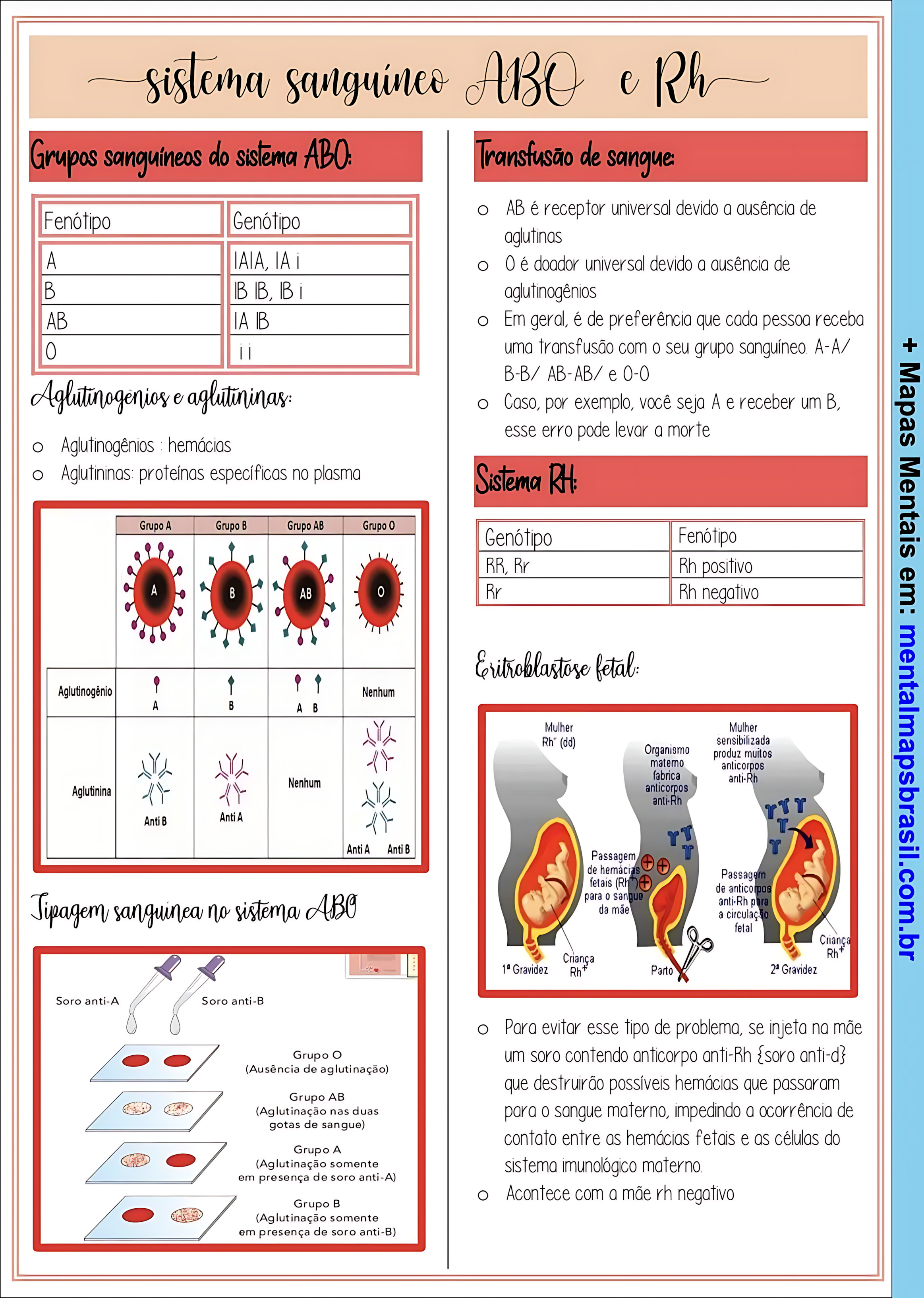 SISTEMA ABO E FATOR RH