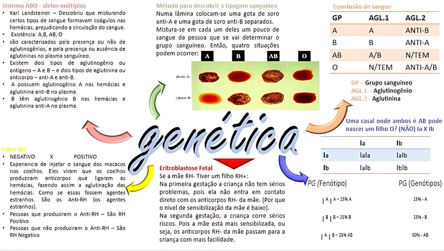 SISTEMA ABO E FATOR RH