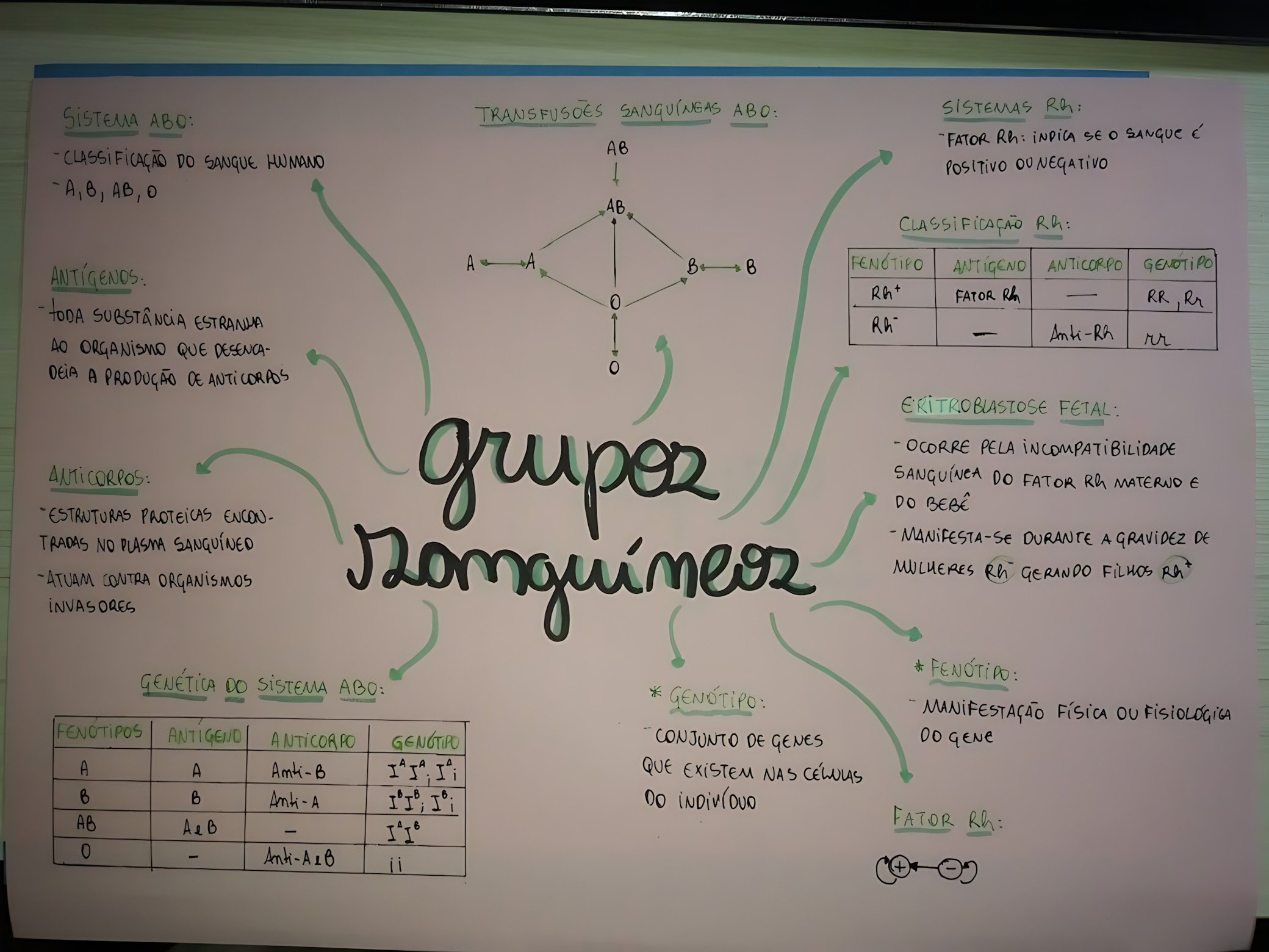 SISTEMA ABO E FATOR RH