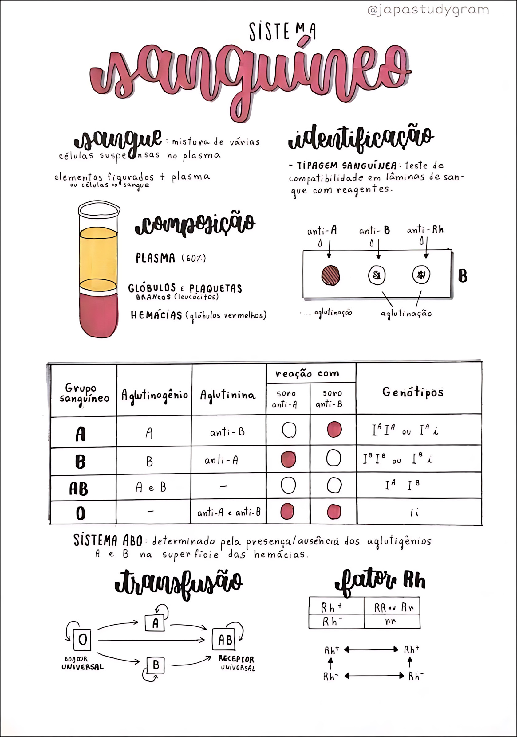 SISTEMA ABO E FATOR RH