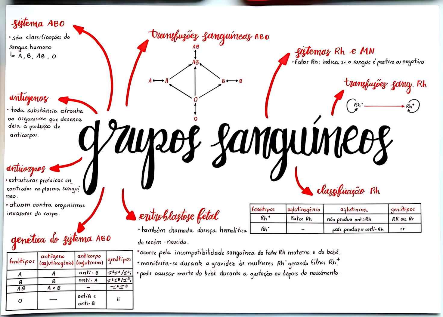 SISTEMA ABO E FATOR RH