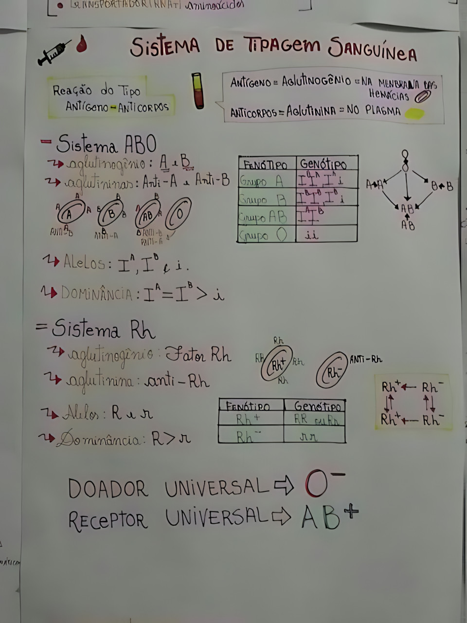 SISTEMA ABO E FATOR RH