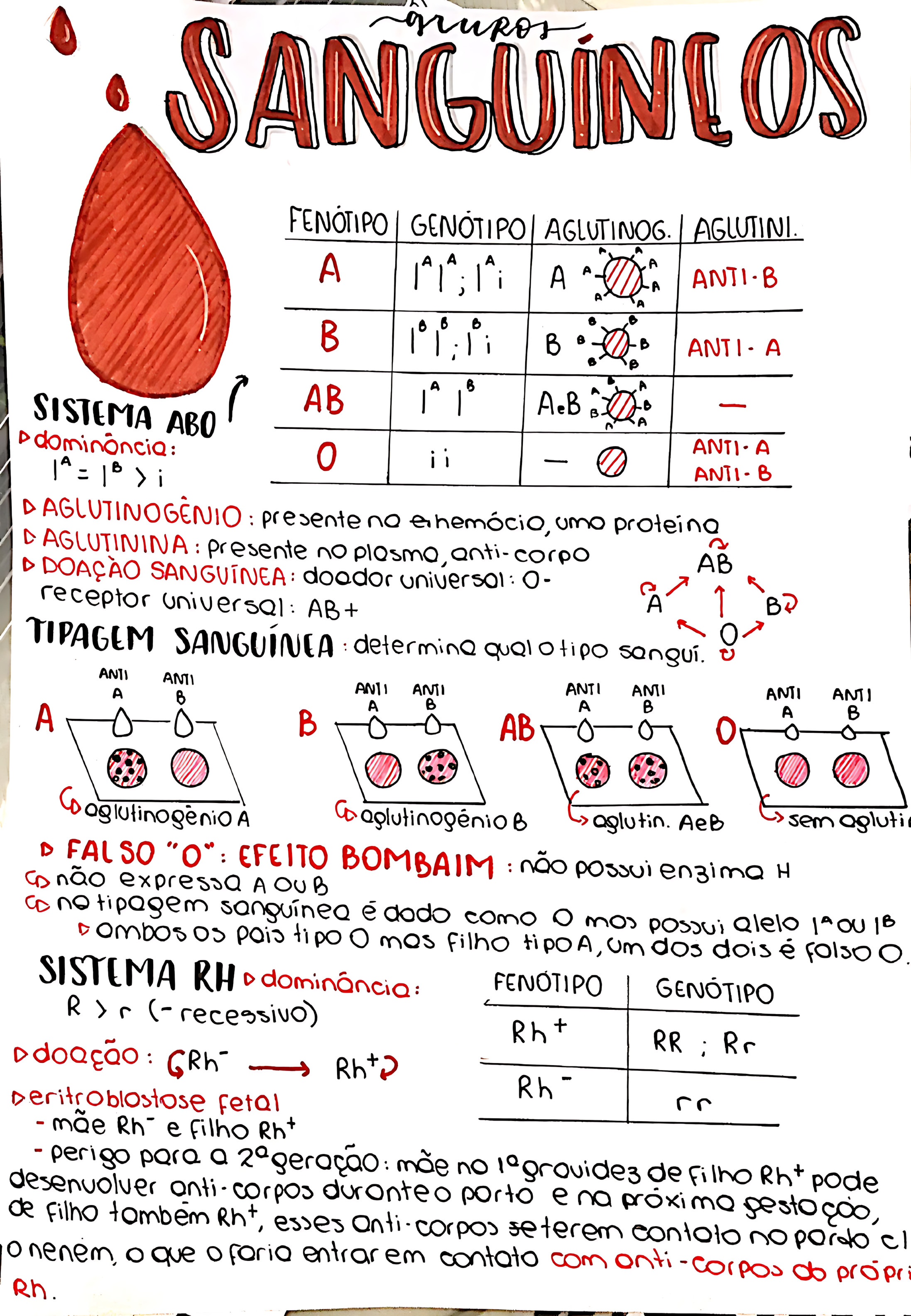 SISTEMA ABO E FATOR RH