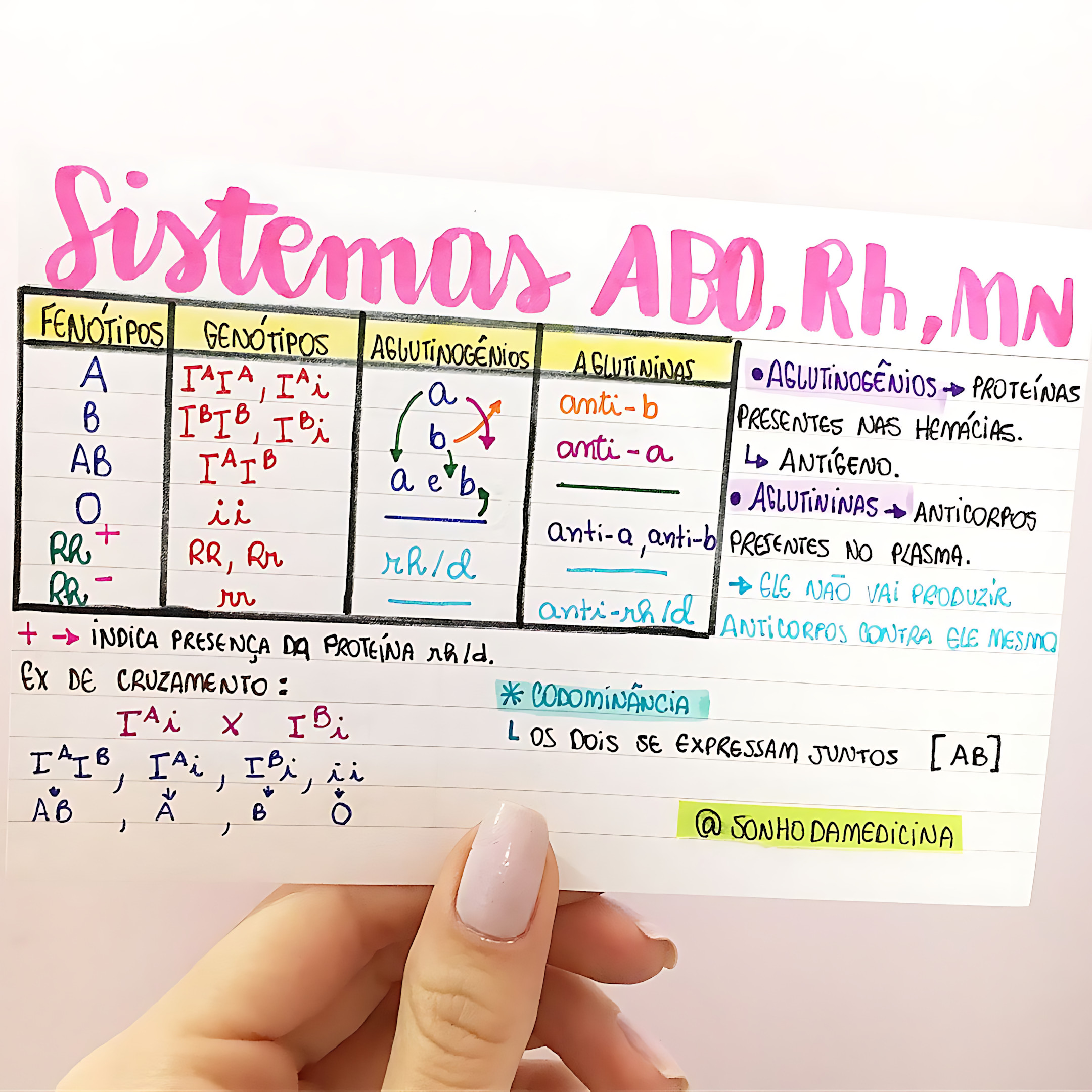 SISTEMA ABO E FATOR RH