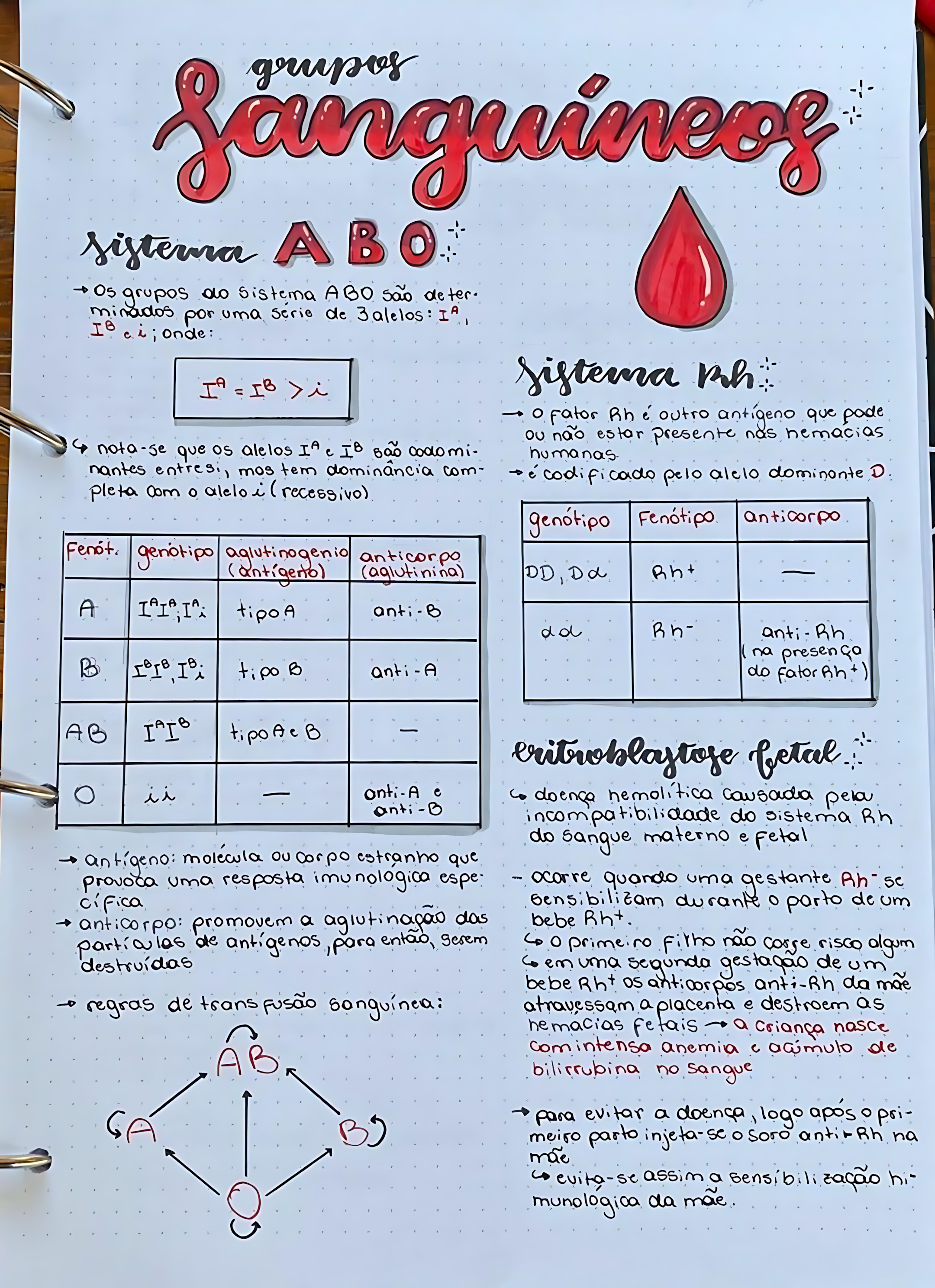 SISTEMA ABO E FATOR RH