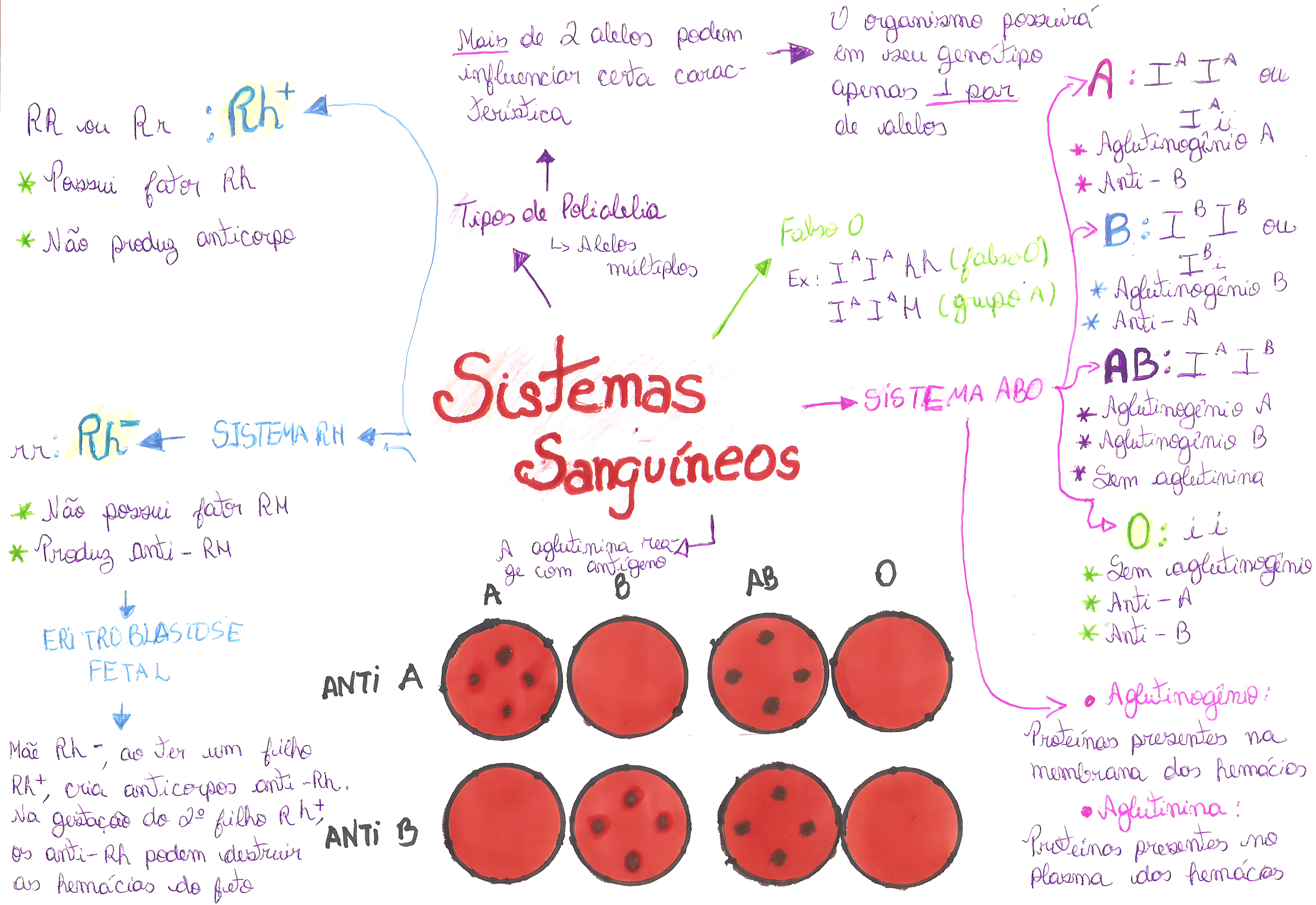 SISTEMA ABO E FATOR RH