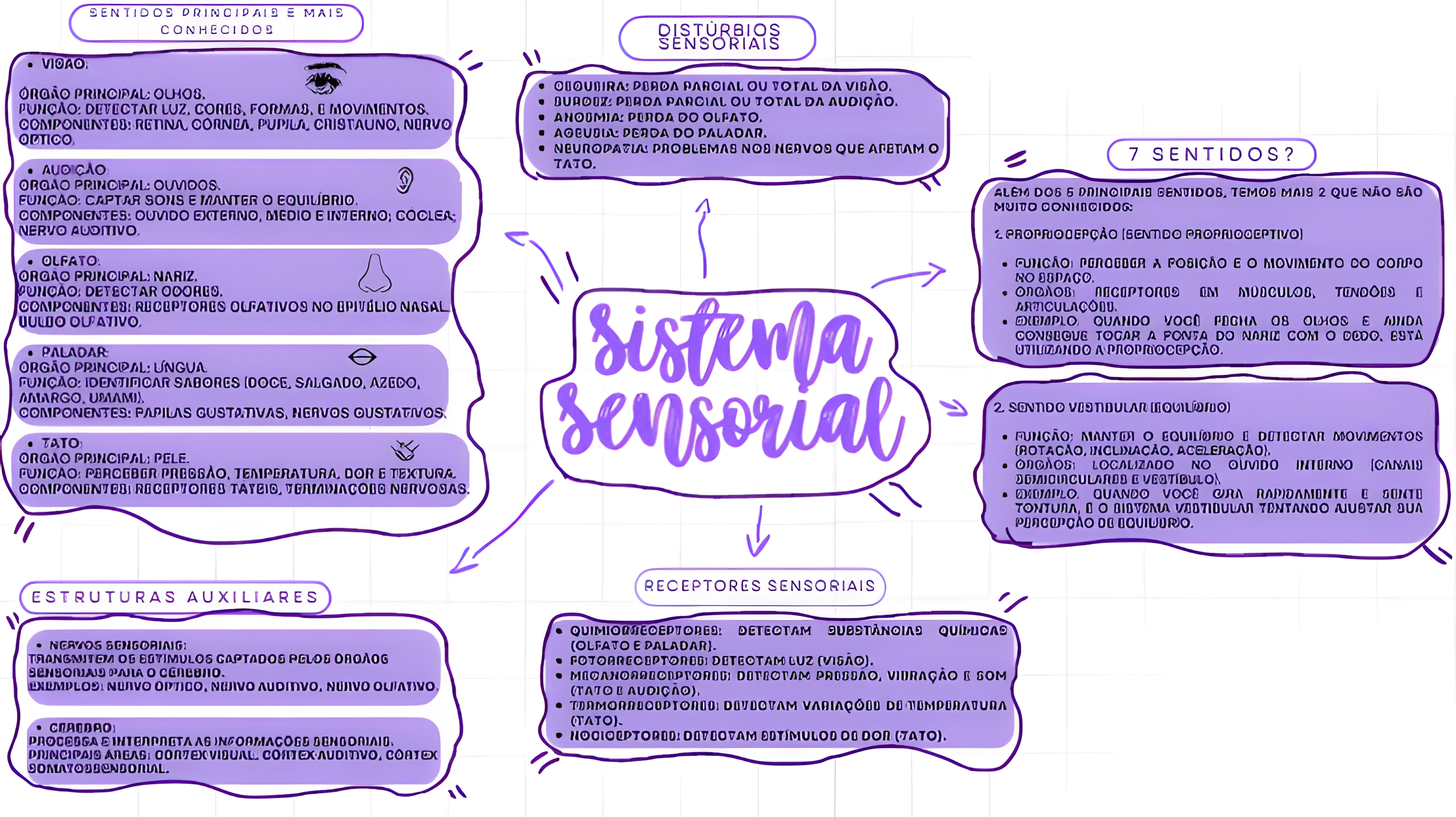 MAPA MENTAL SOBRE SISTEMA SENSORIAL