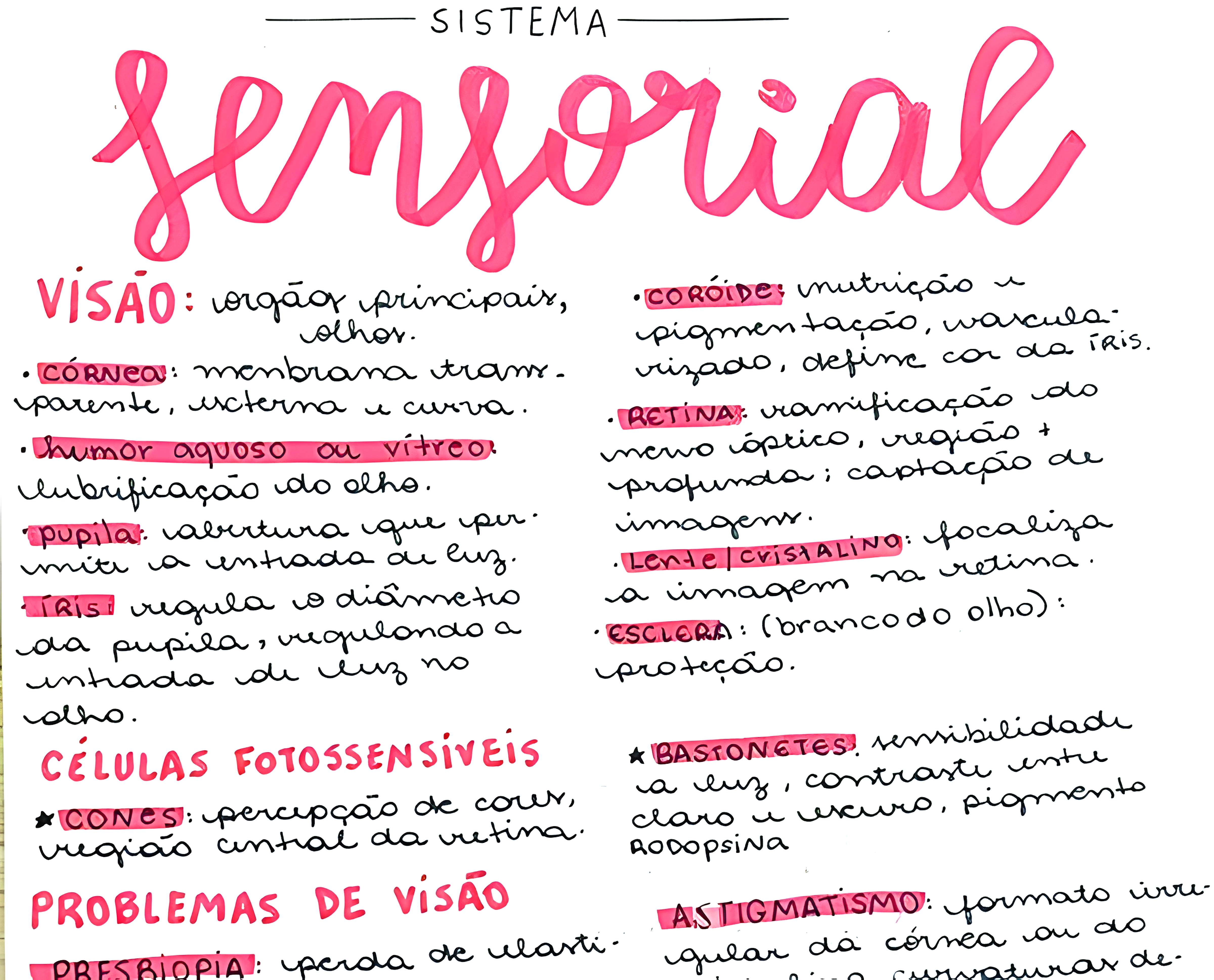 MAPA MENTAL SOBRE SISTEMA SENSORIAL