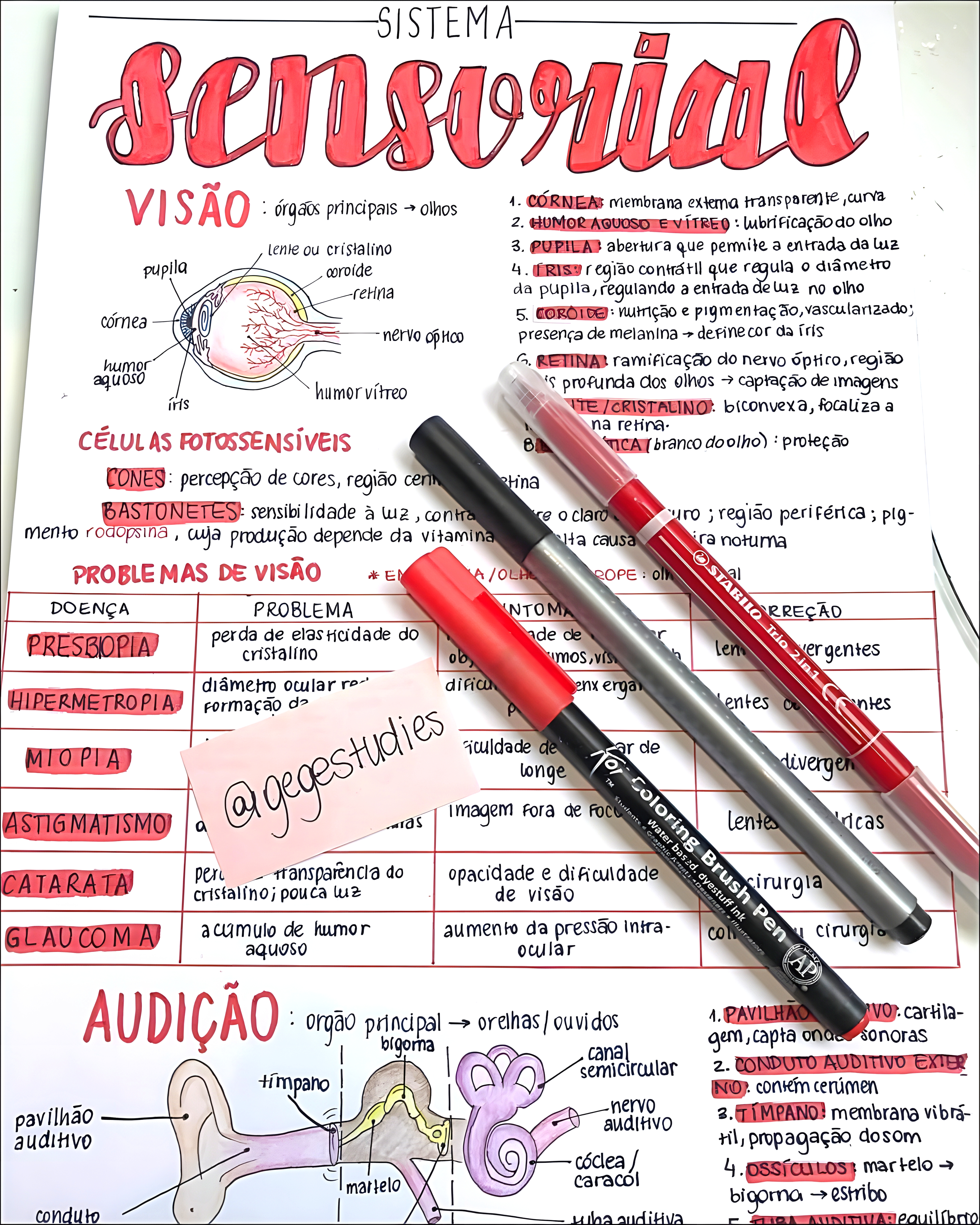 MAPA MENTAL SOBRE SISTEMA SENSORIAL