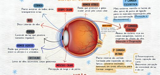 MAPA MENTAL SOBRE SISTEMA SENSORIAL