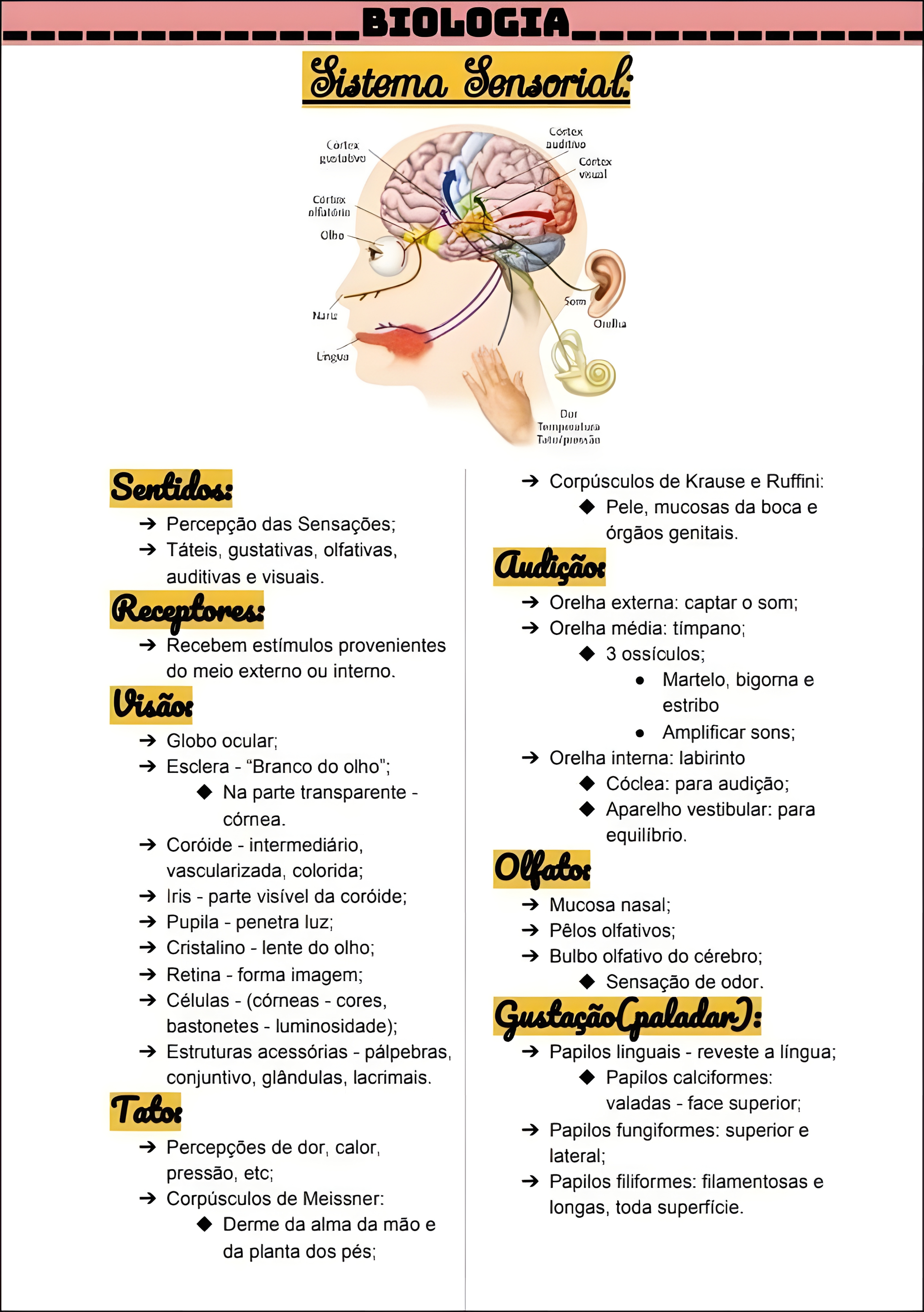 MAPA MENTAL SOBRE SISTEMA SENSORIAL