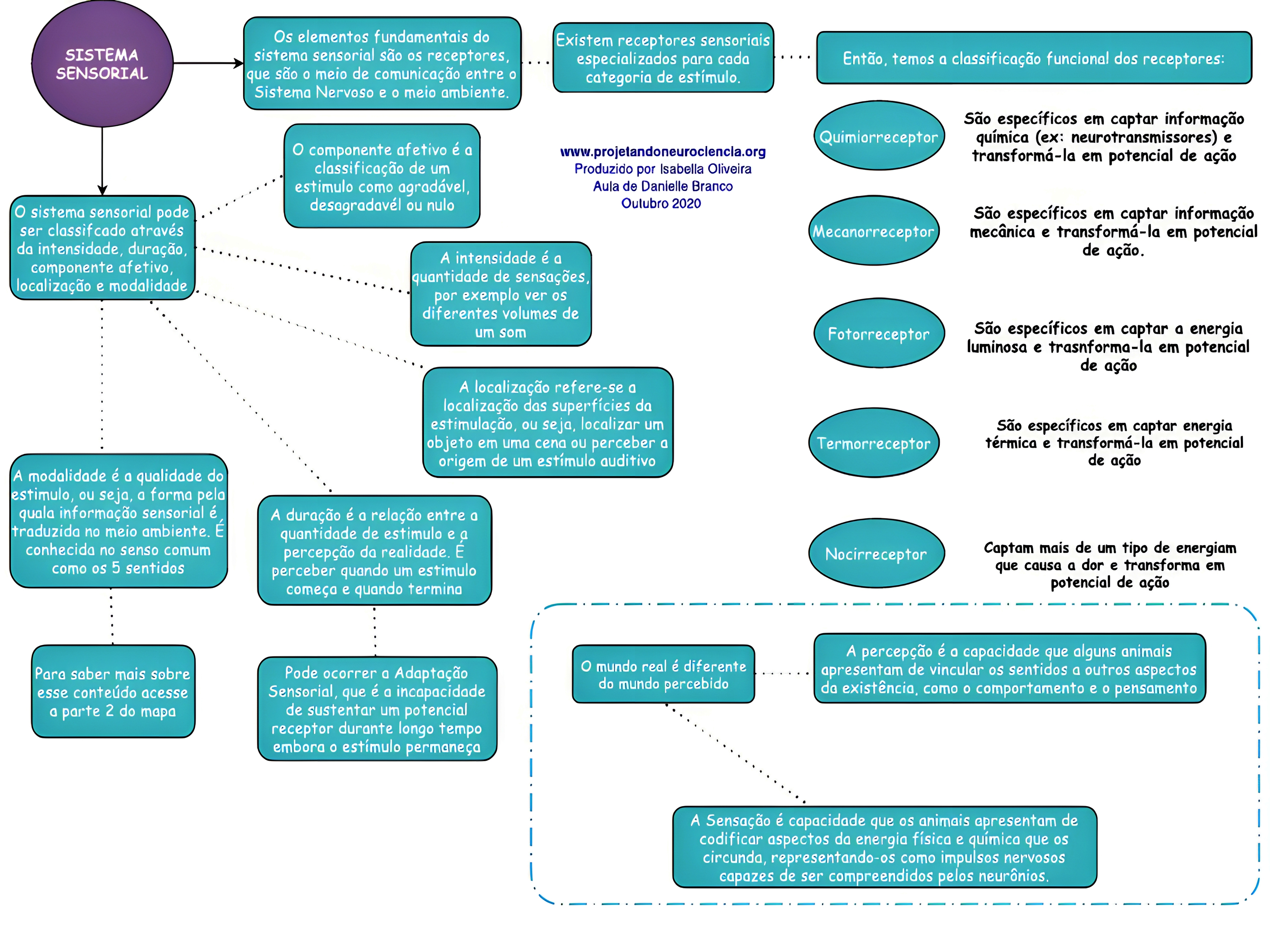 MAPA MENTAL SOBRE SISTEMA SENSORIAL