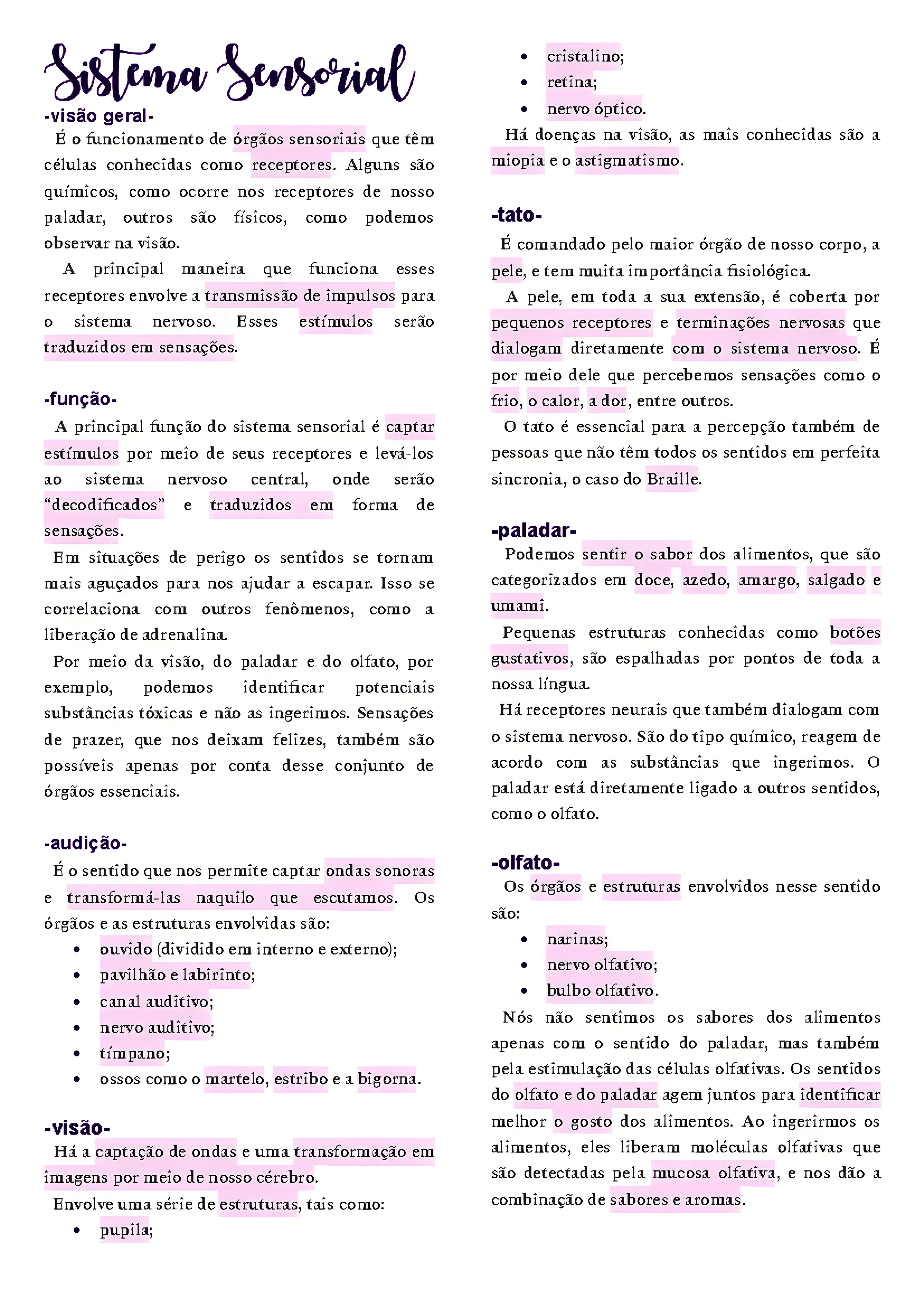 MAPA MENTAL SOBRE SISTEMA SENSORIAL