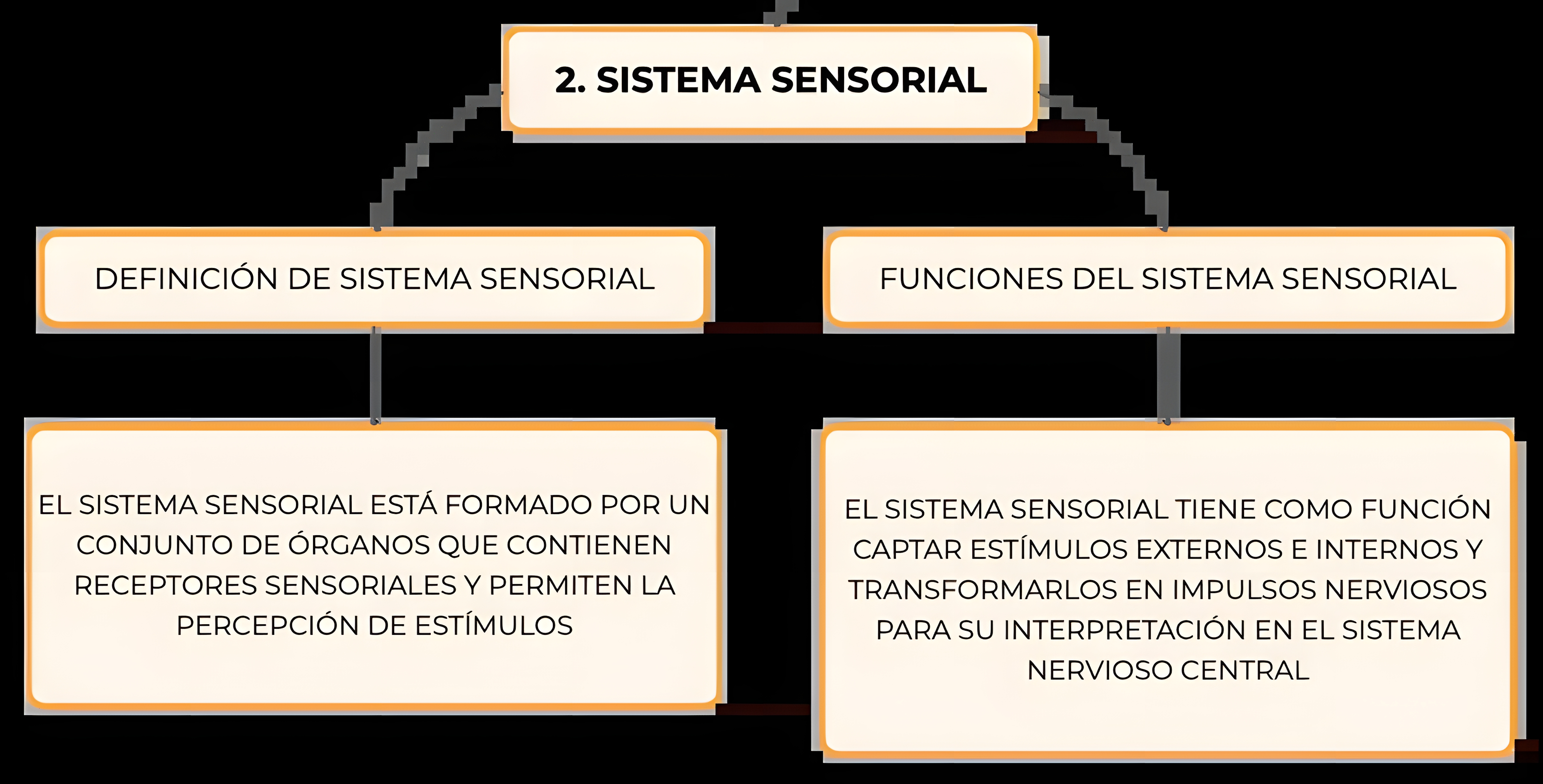 MAPA MENTAL SOBRE SISTEMA SENSORIAL