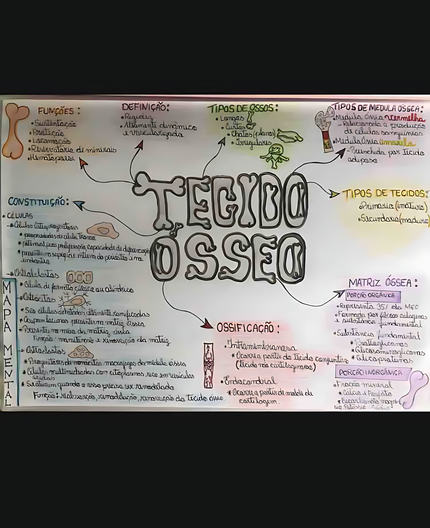 TECIDO ÓSSEO