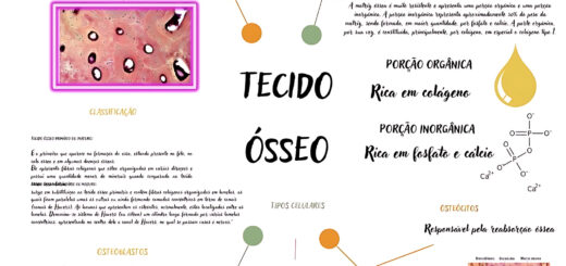 MAPA MENTAL SOBRE TECIDO OSSEO