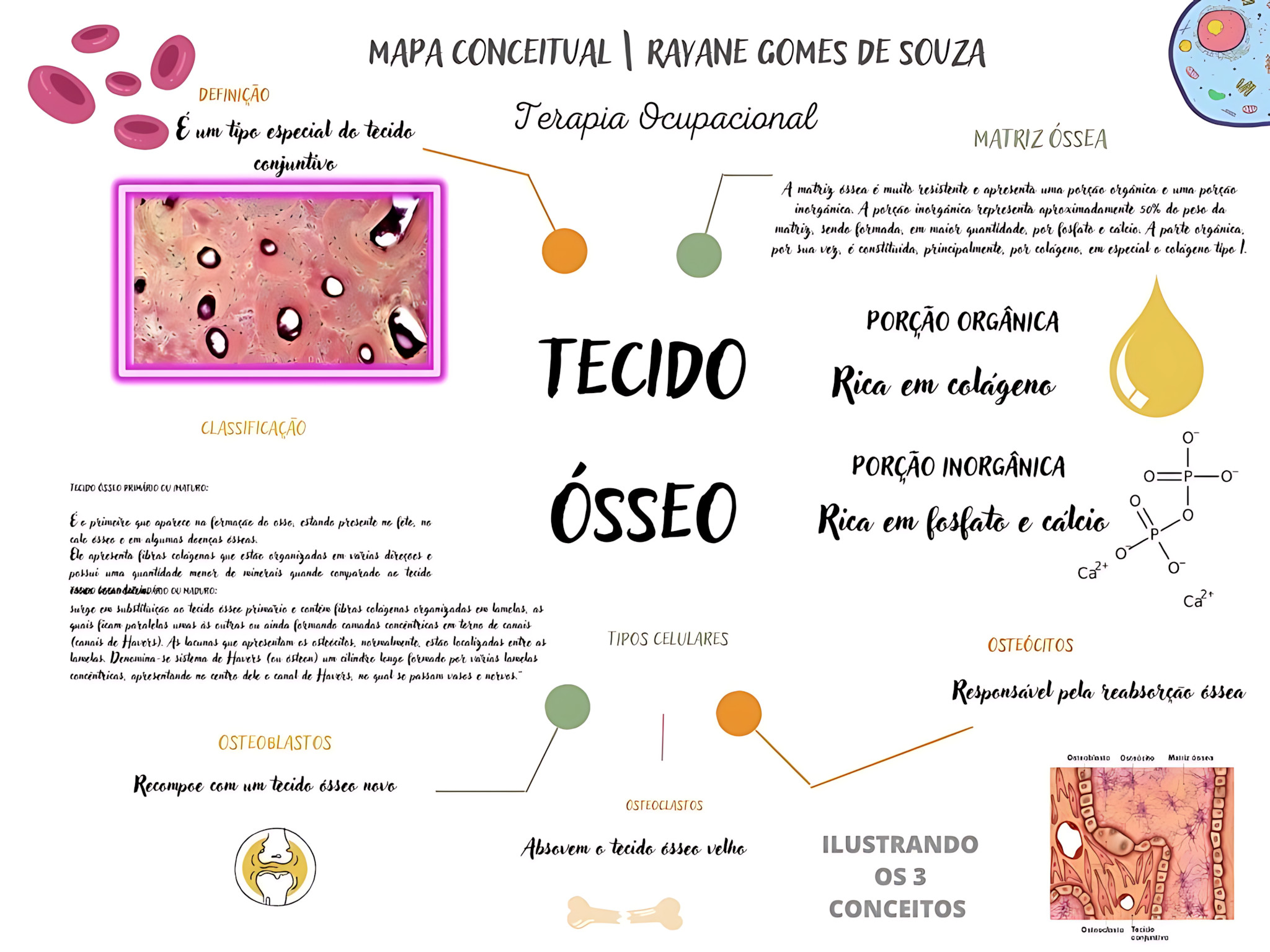 MAPA MENTAL SOBRE TECIDO OSSEO