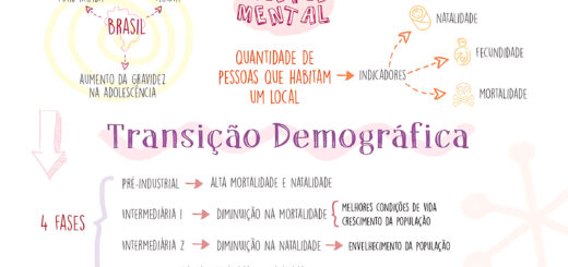 MAPA MENTAL SOBRE TRANSICAO DEMOGRAFICA
