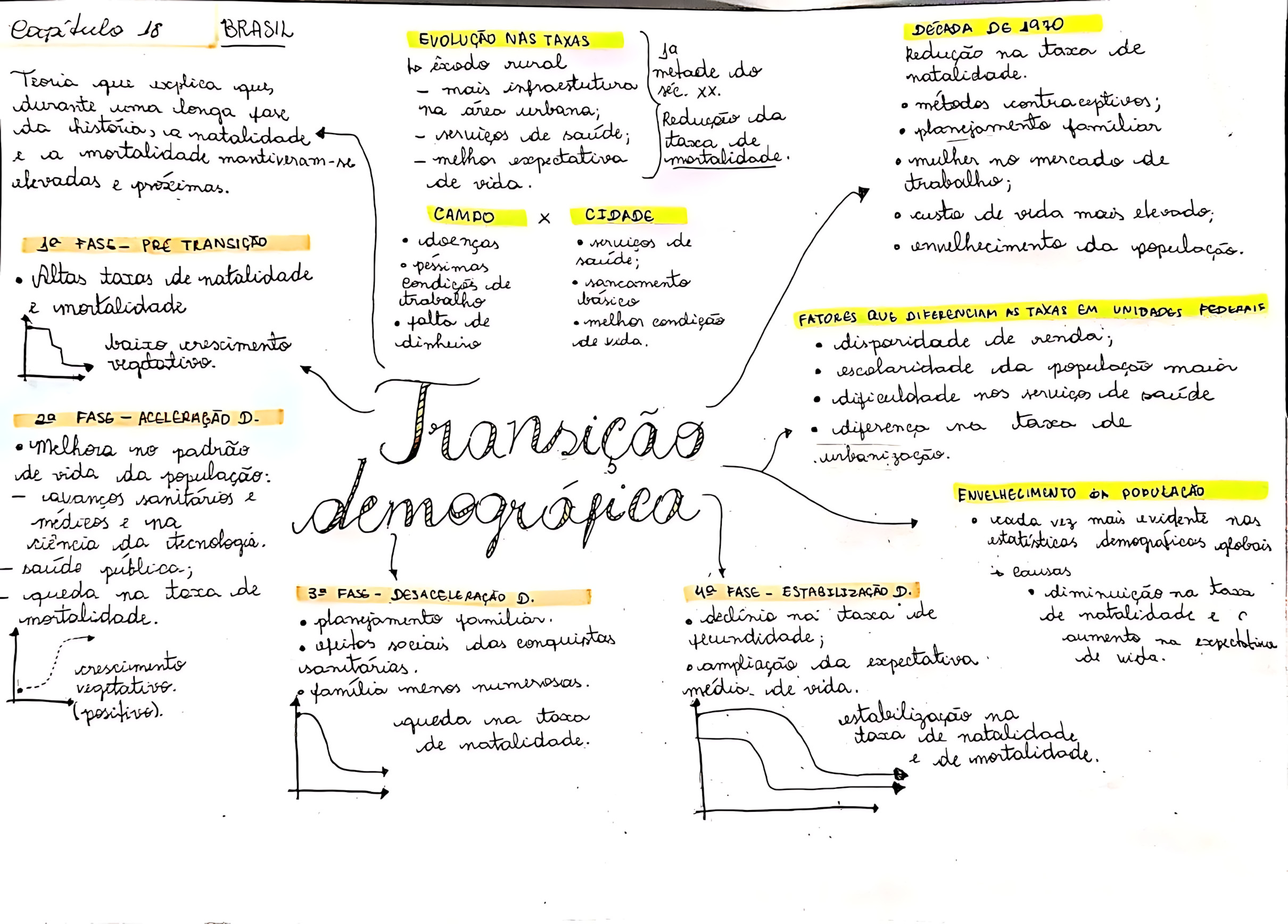 MAPA MENTAL SOBRE TRANSIÇÃO DEMOGRÁFICA
