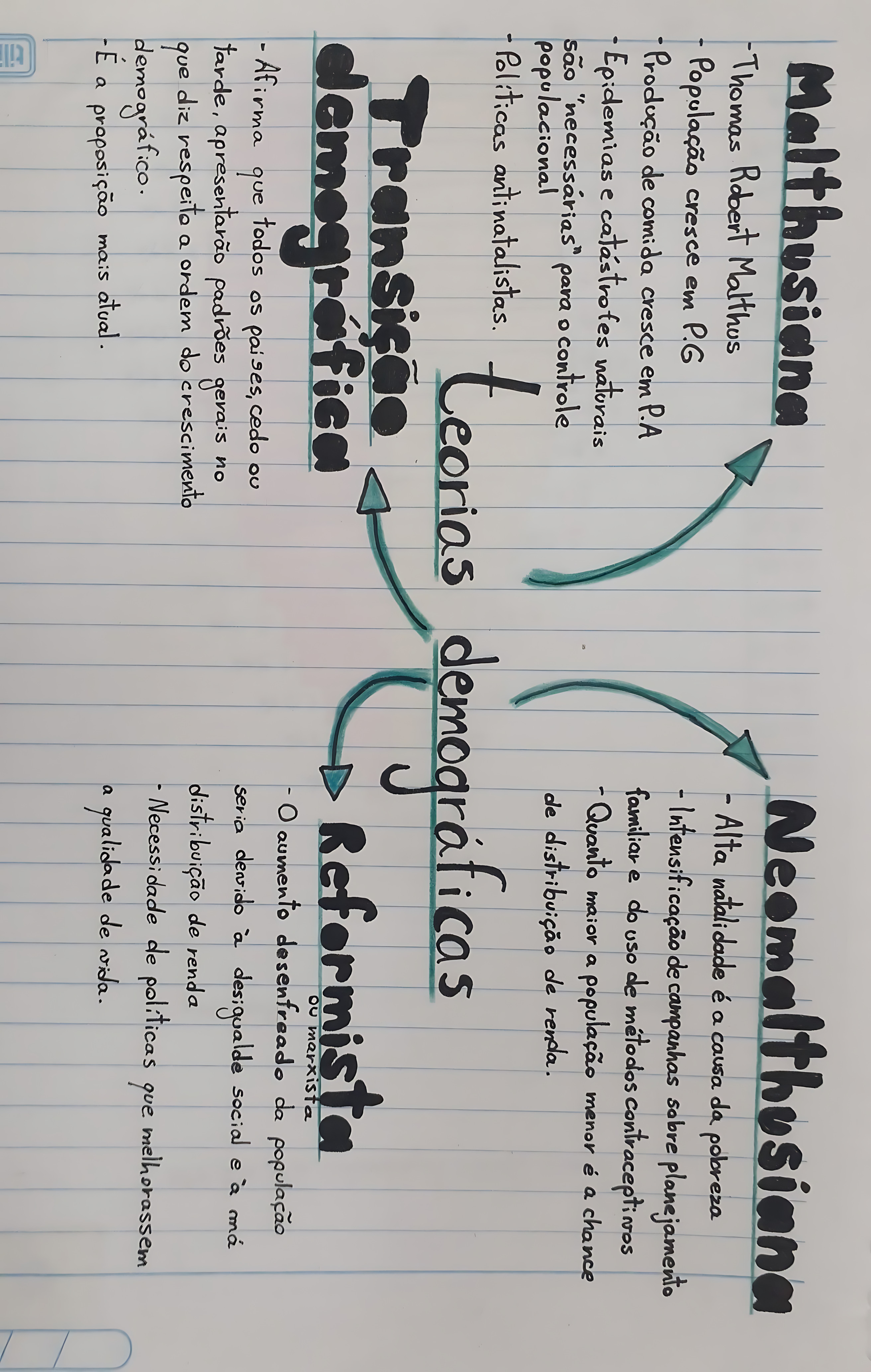 MAPA MENTAL SOBRE TRANSIÇÃO DEMOGRÁFICA