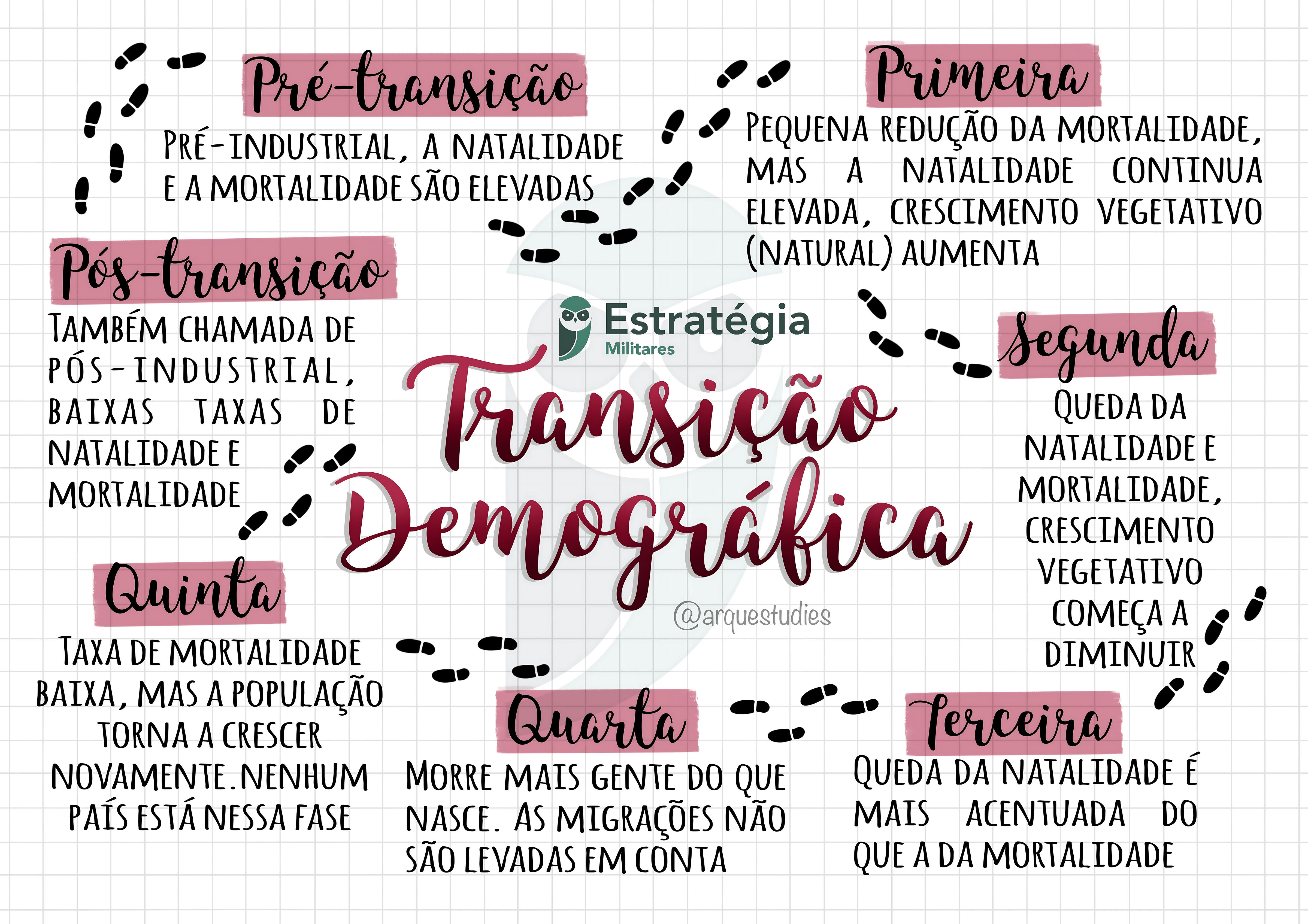 MAPA MENTAL SOBRE TRANSIÇÃO DEMOGRÁFICA