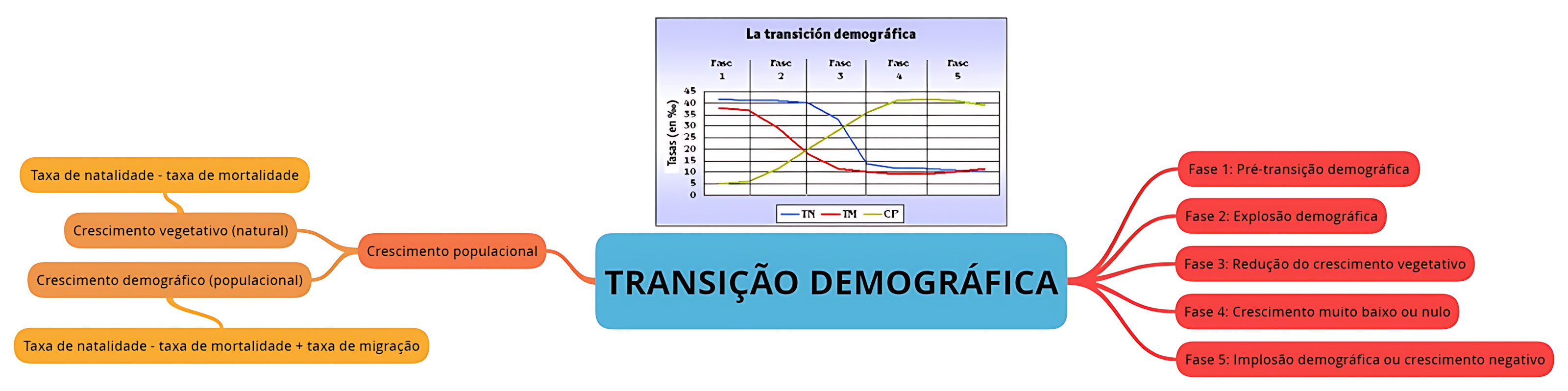 MAPA MENTAL SOBRE TRANSIÇÃO DEMOGRÁFICA