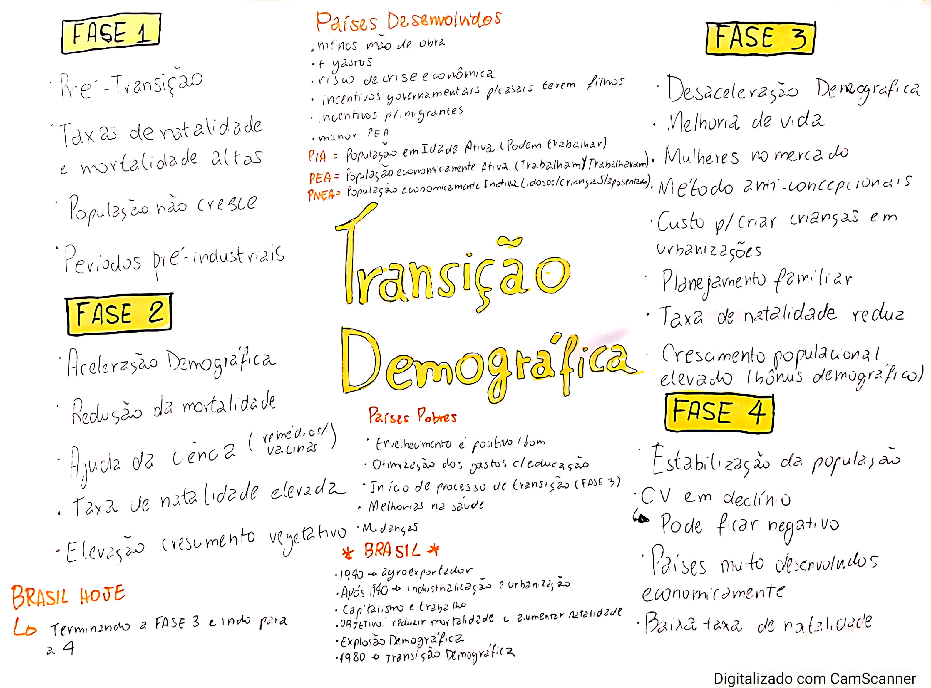 MAPA MENTAL SOBRE TRANSIÇÃO DEMOGRÁFICA