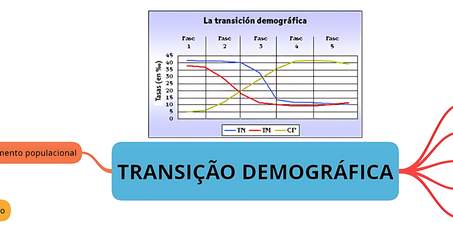 MAPA MENTAL SOBRE TRANSIÇÃO DEMOGRÁFICA
