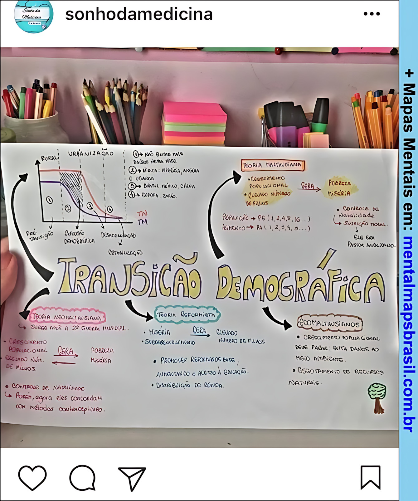 MAPA MENTAL SOBRE TRANSIÇÃO DEMOGRÁFICA