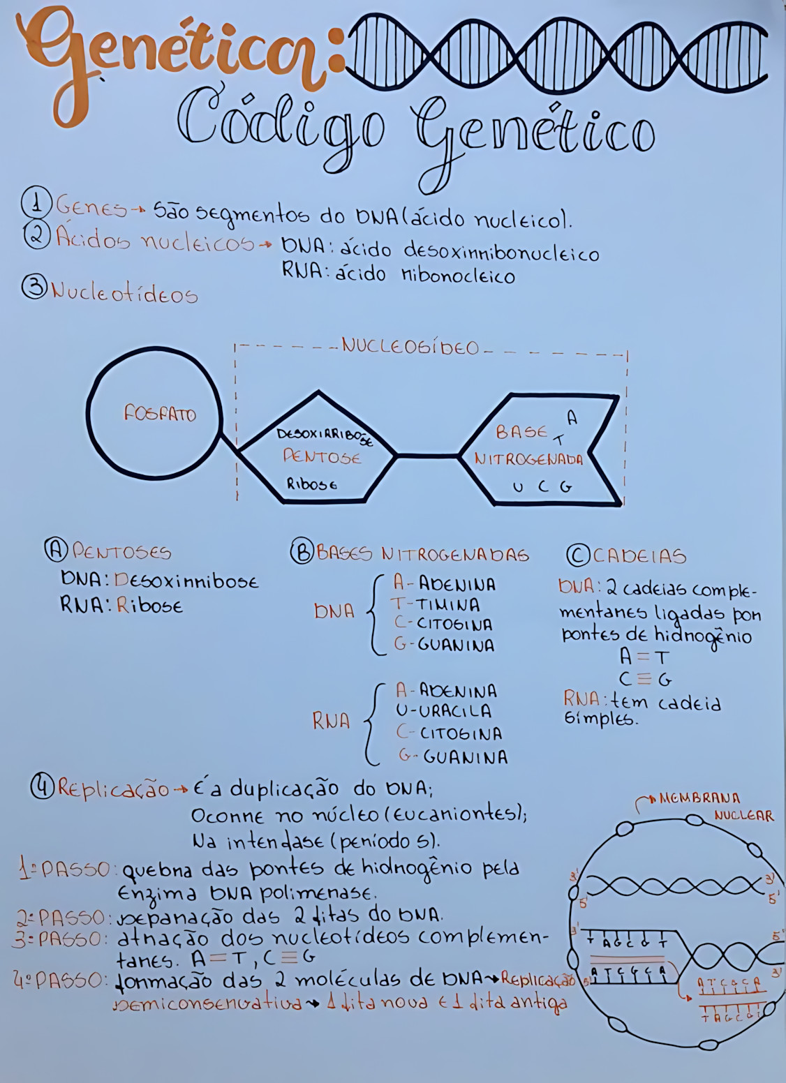 MAPA MENTAL SOBRE CODIGO GENETICO