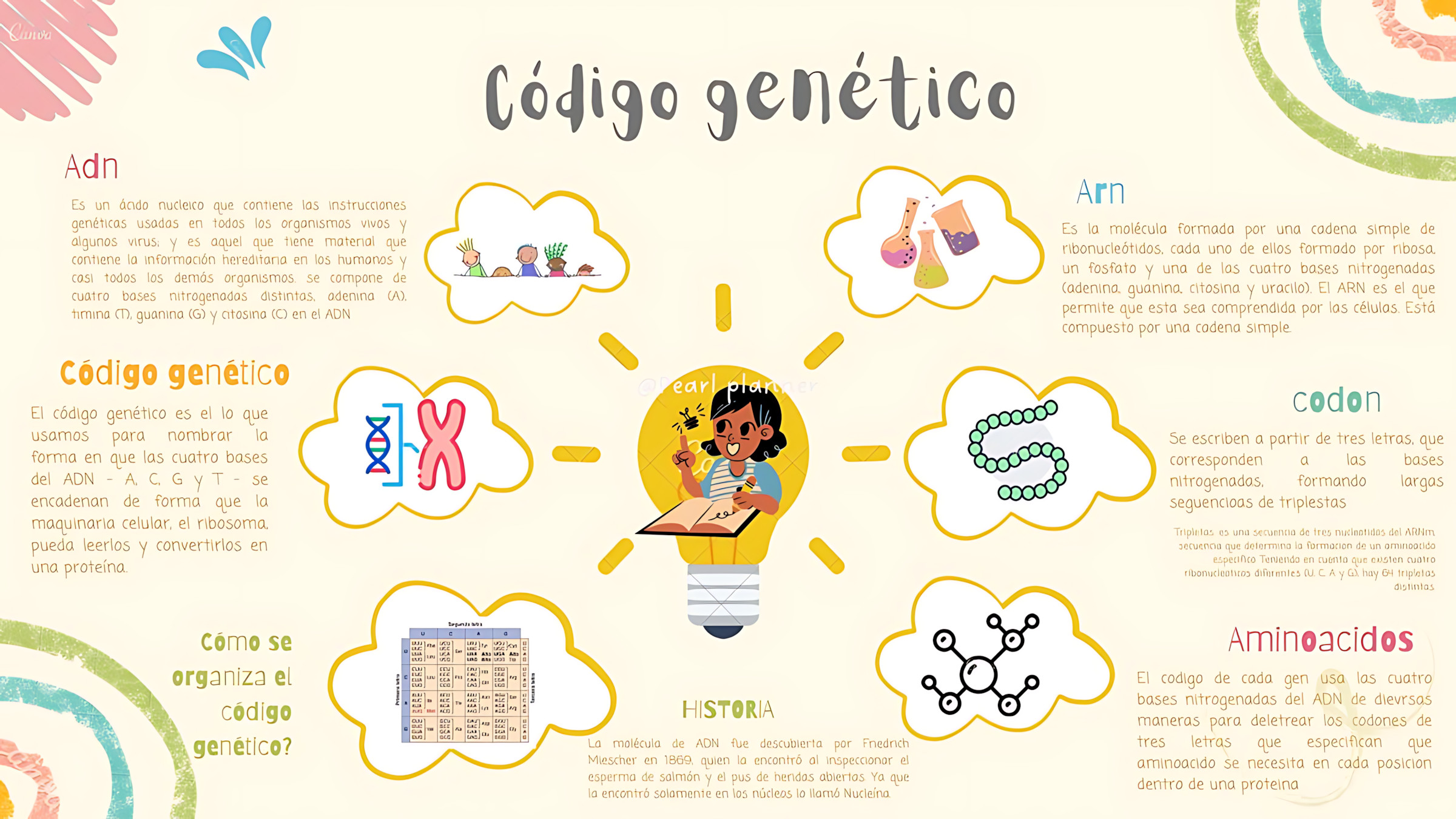 MAPA MENTAL SOBRE CÓDIGO GENÉTICO