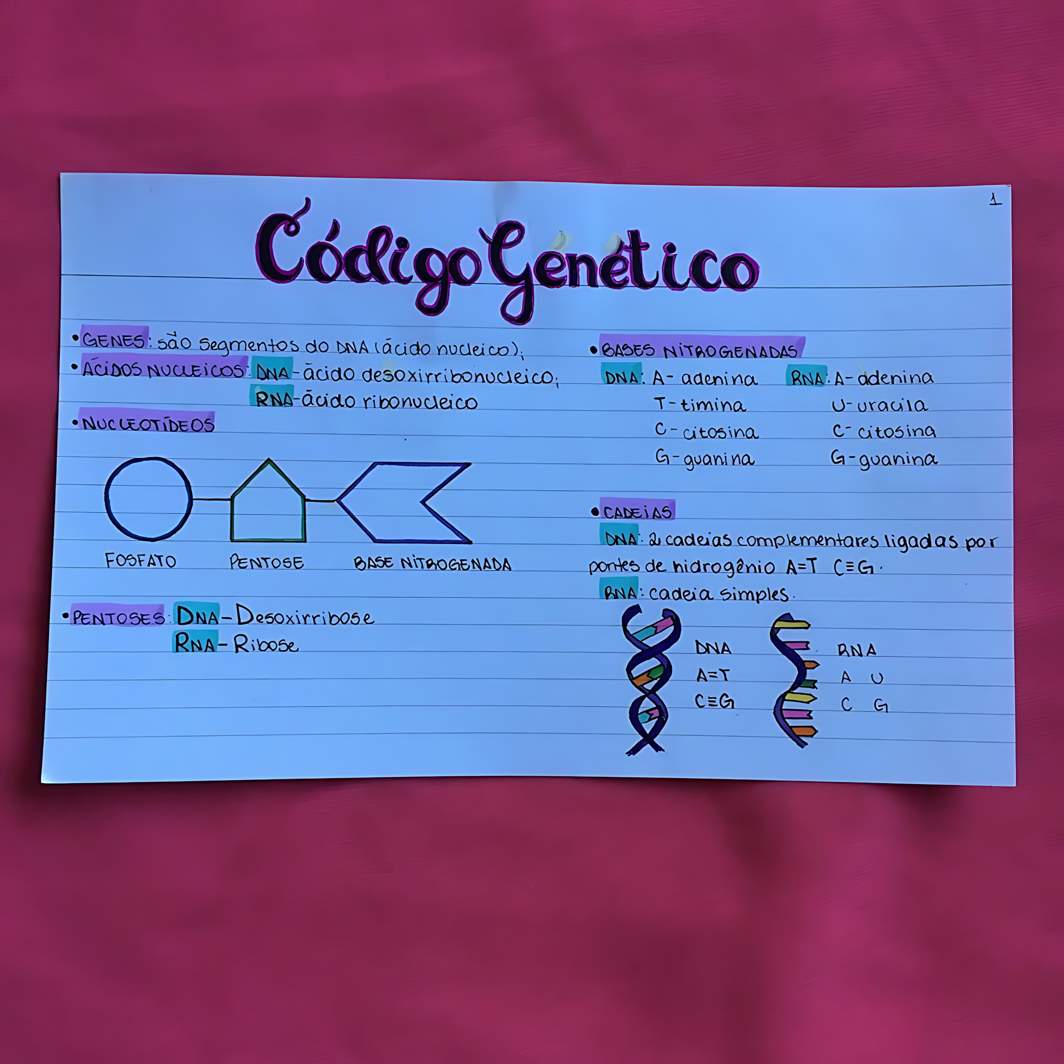 MAPA MENTAL SOBRE CÓDIGO GENÉTICO