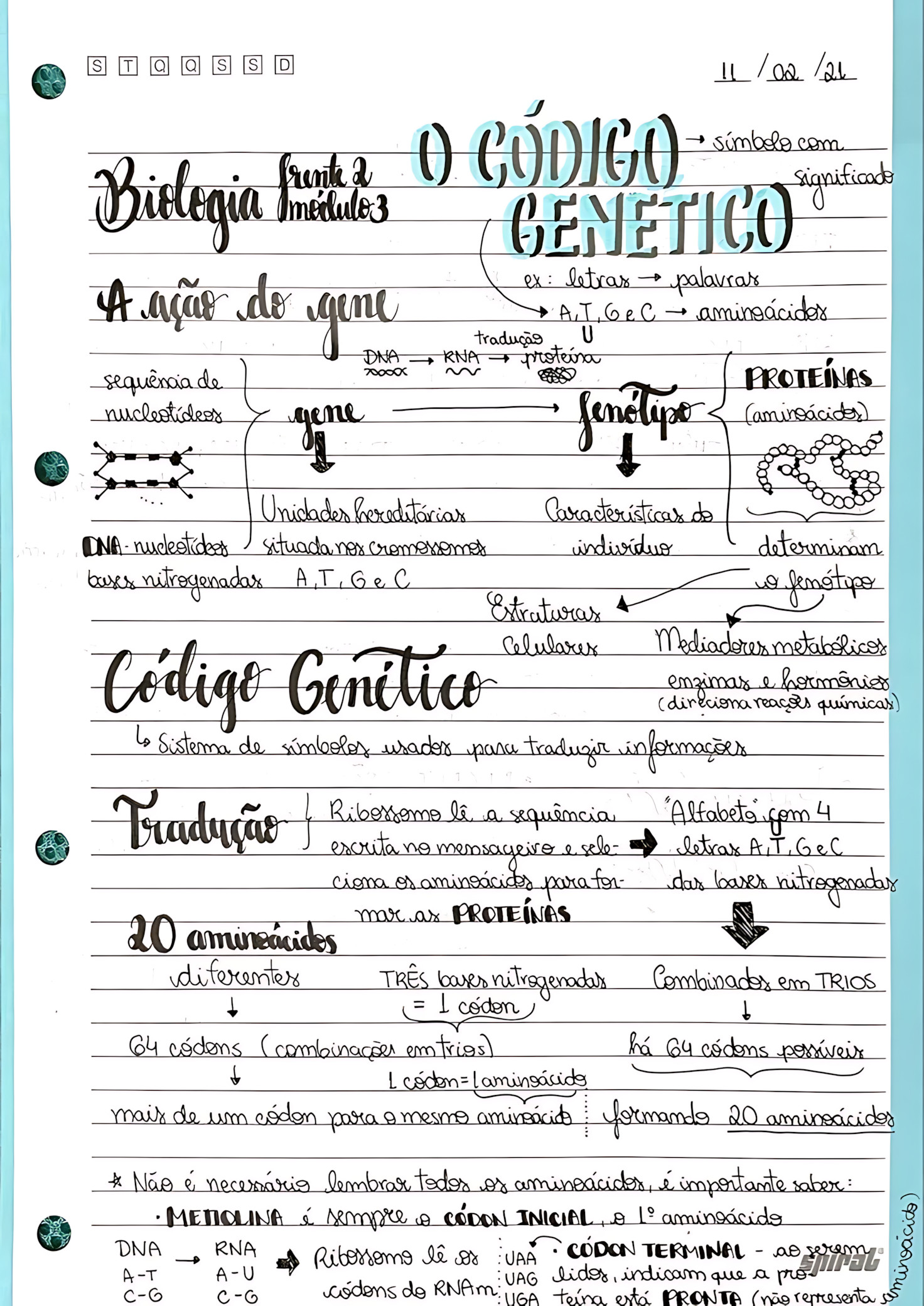 MAPA MENTAL SOBRE CÓDIGO GENÉTICO