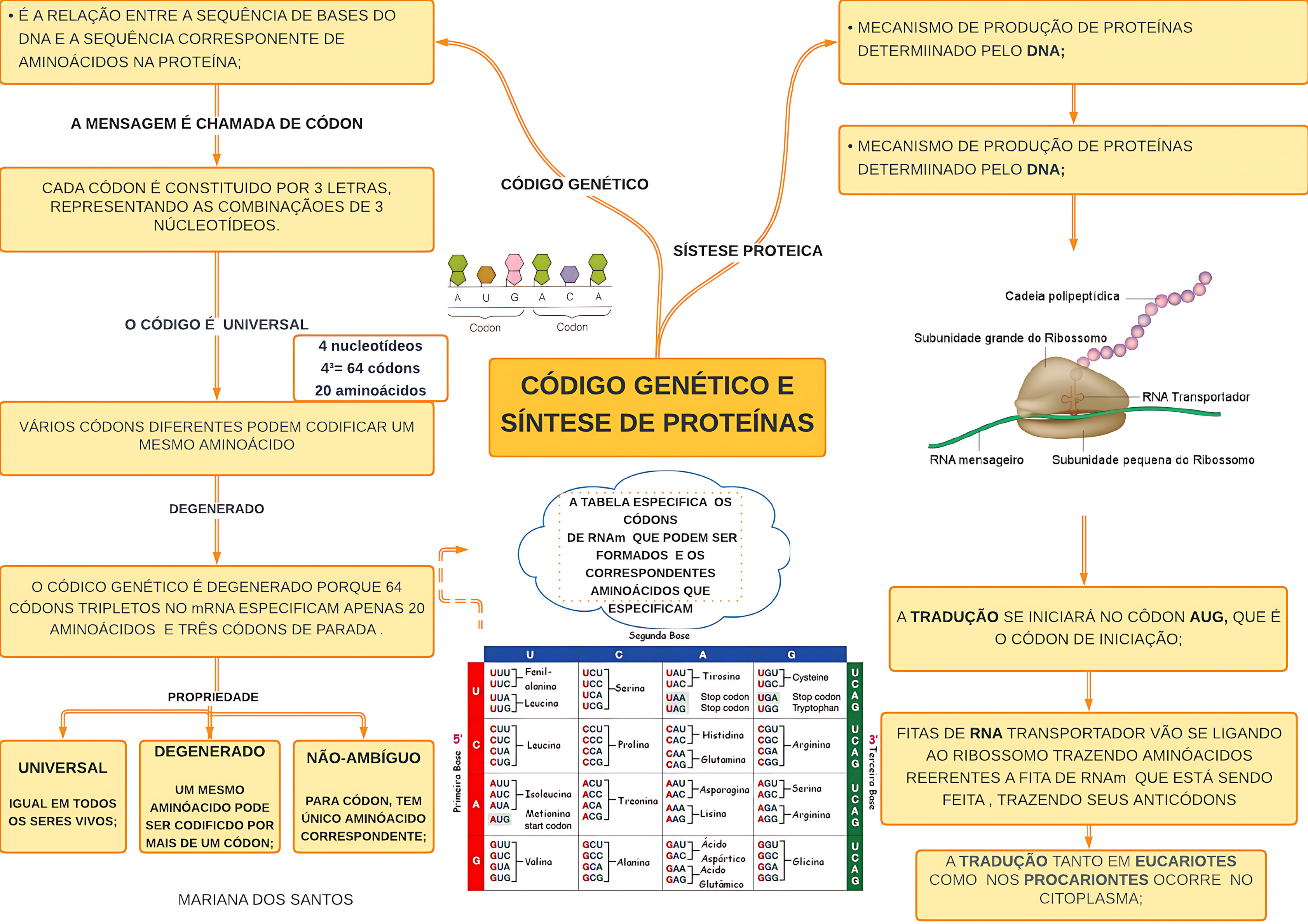 MAPA MENTAL SOBRE CÓDIGO GENÉTICO