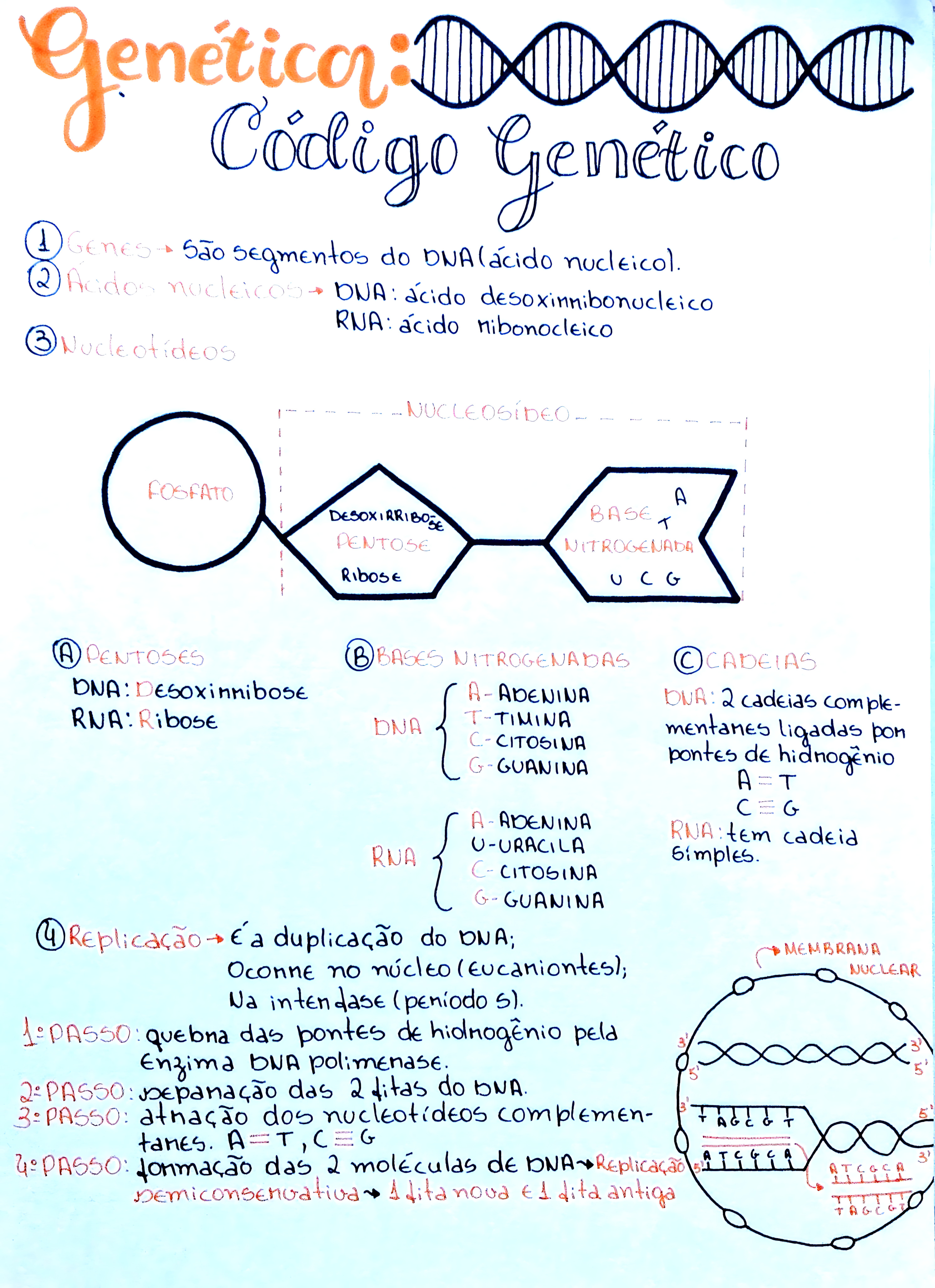 MAPA MENTAL SOBRE CÓDIGO GENÉTICO
