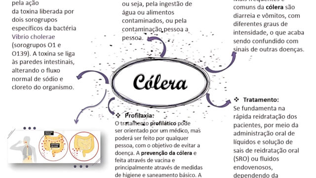 CÓLERA