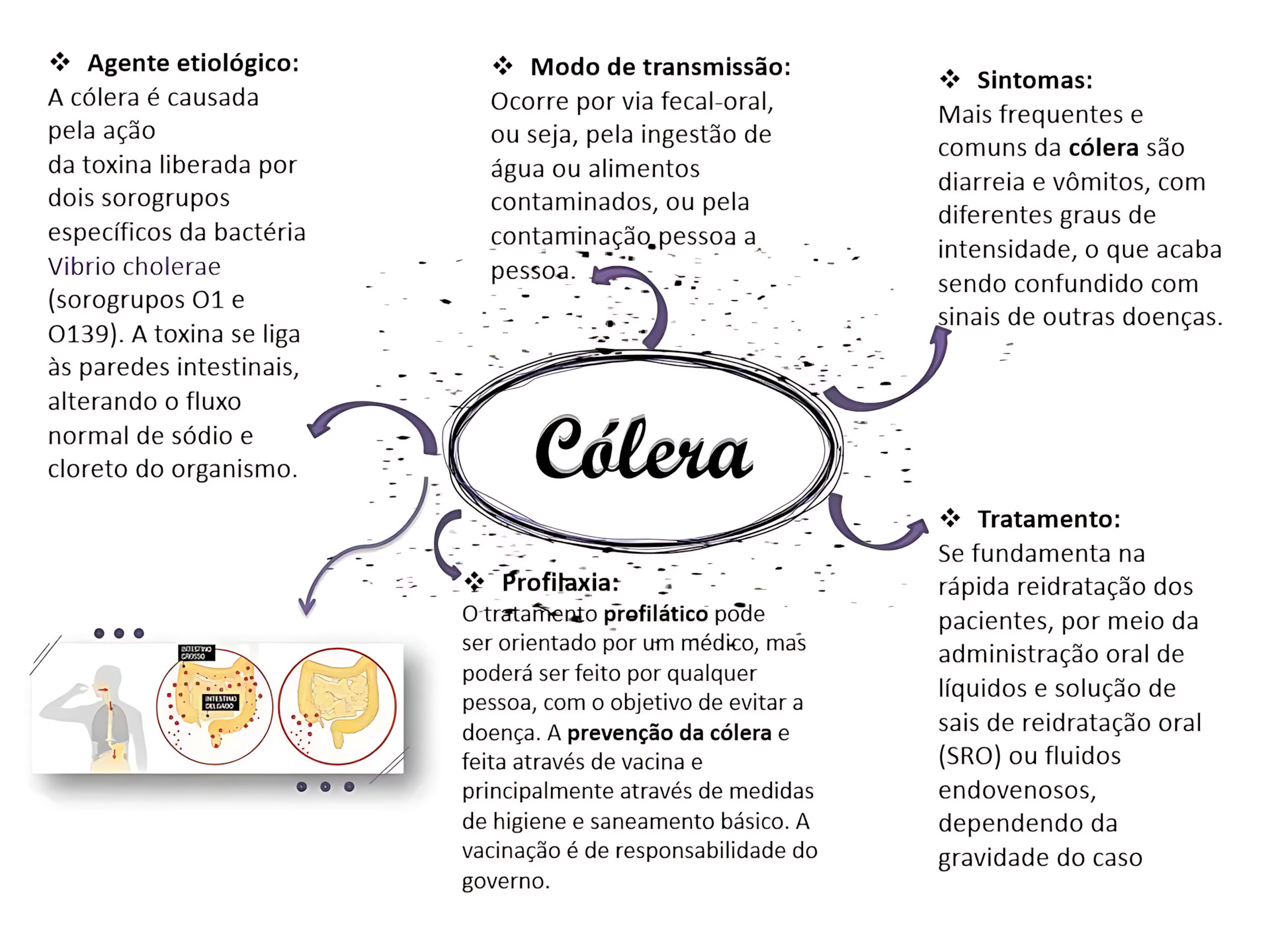 MAPA MENTAL SOBRE CÓLERA