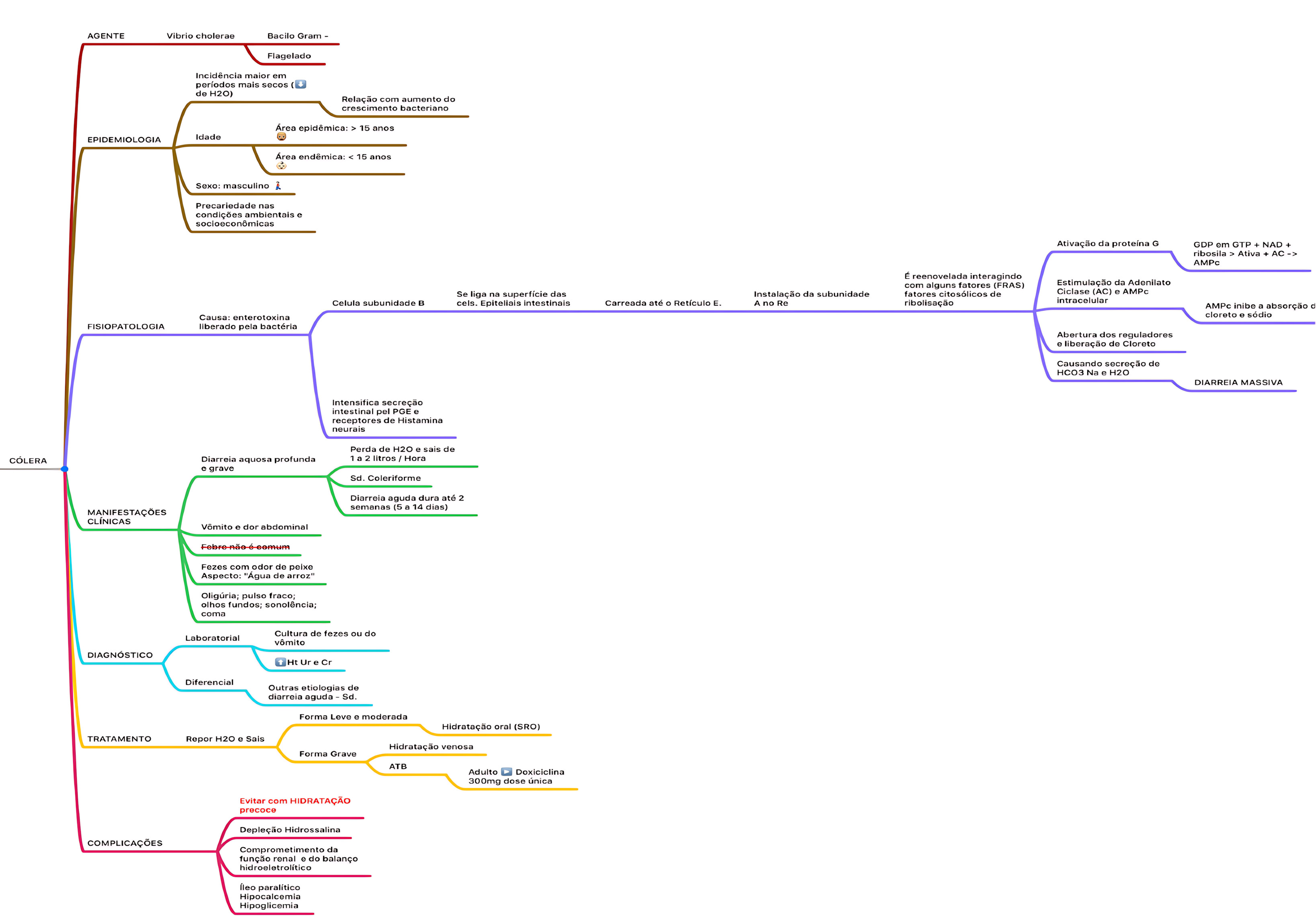 MAPA MENTAL SOBRE CÓLERA
