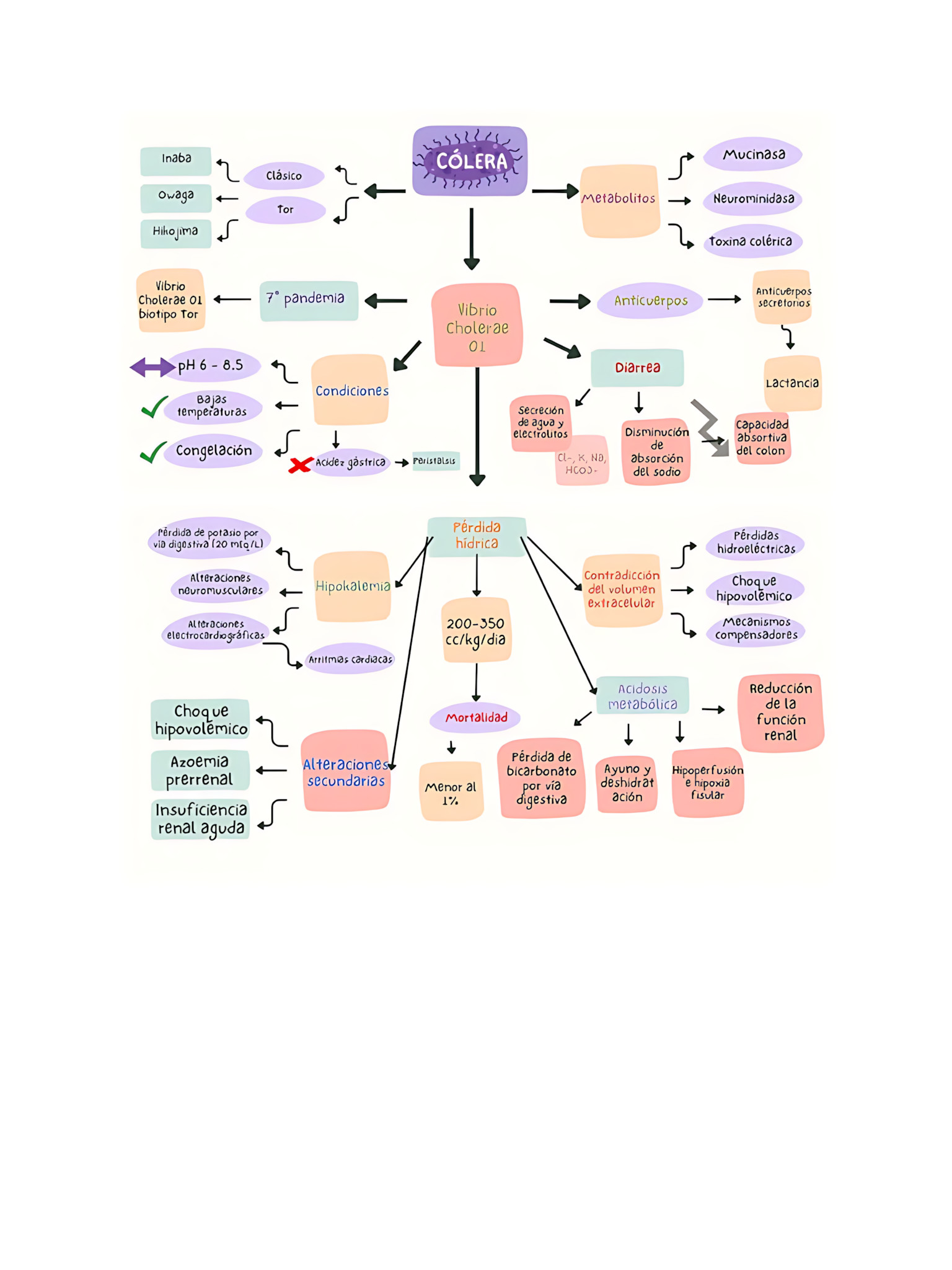 MAPA MENTAL SOBRE CÓLERA