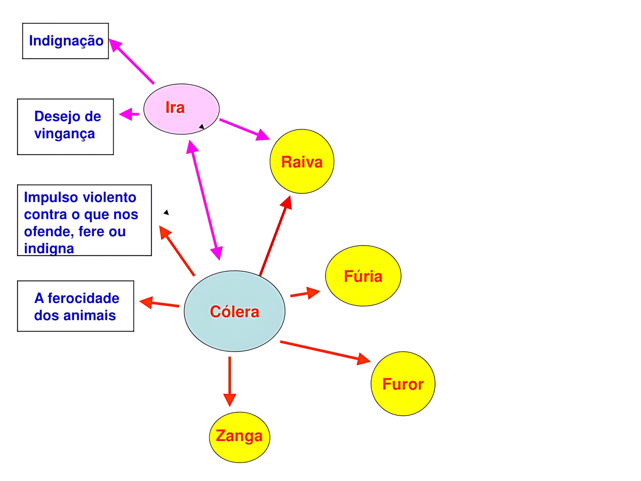 MAPA MENTAL SOBRE CÓLERA