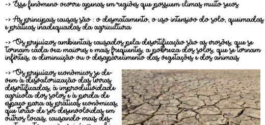 MAPA MENTAL SOBRE DESERTIFICACAO