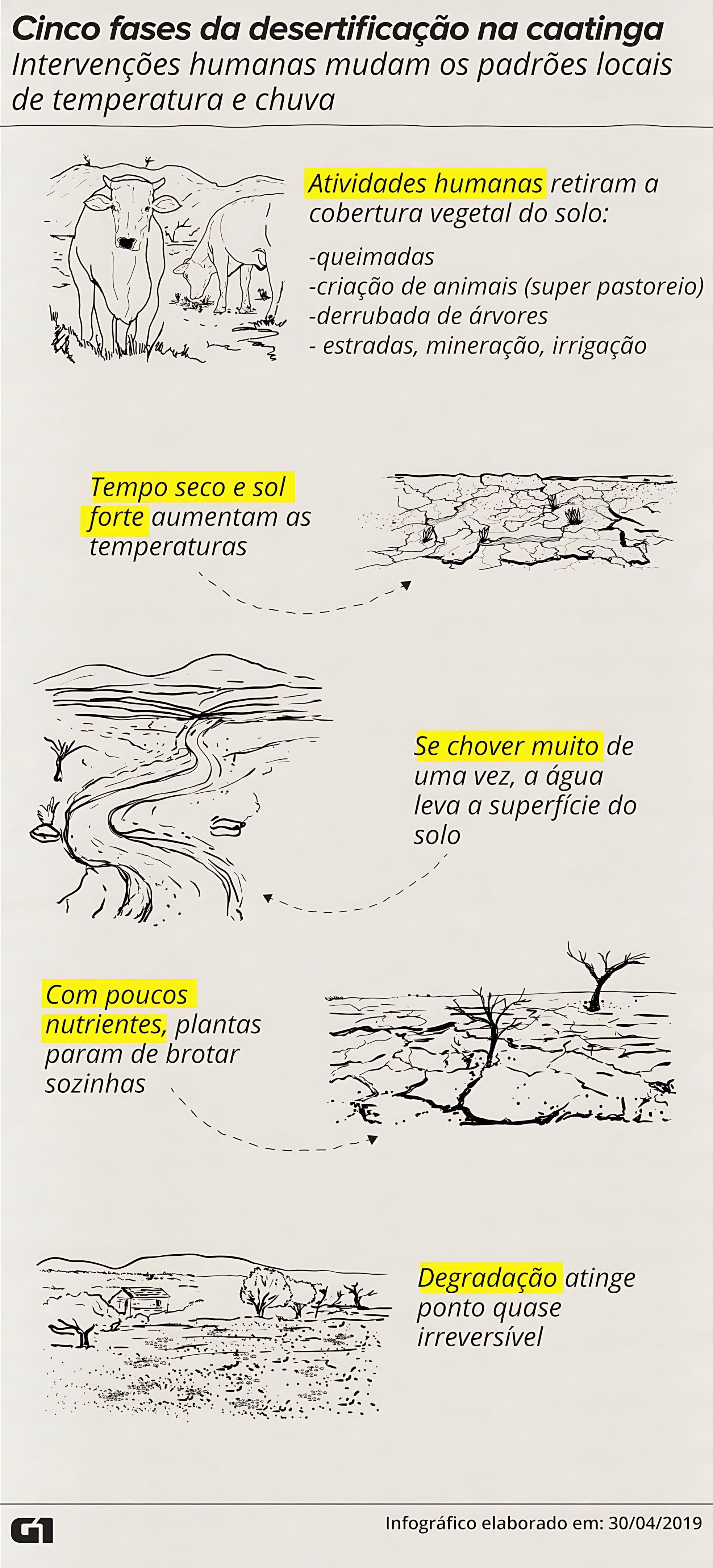 MAPA MENTAL SOBRE DESERTIFICAÇÃO