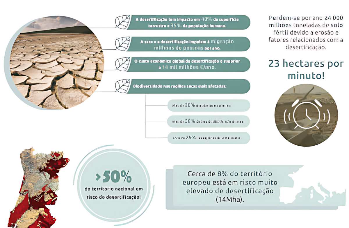 MAPA MENTAL SOBRE DESERTIFICAÇÃO