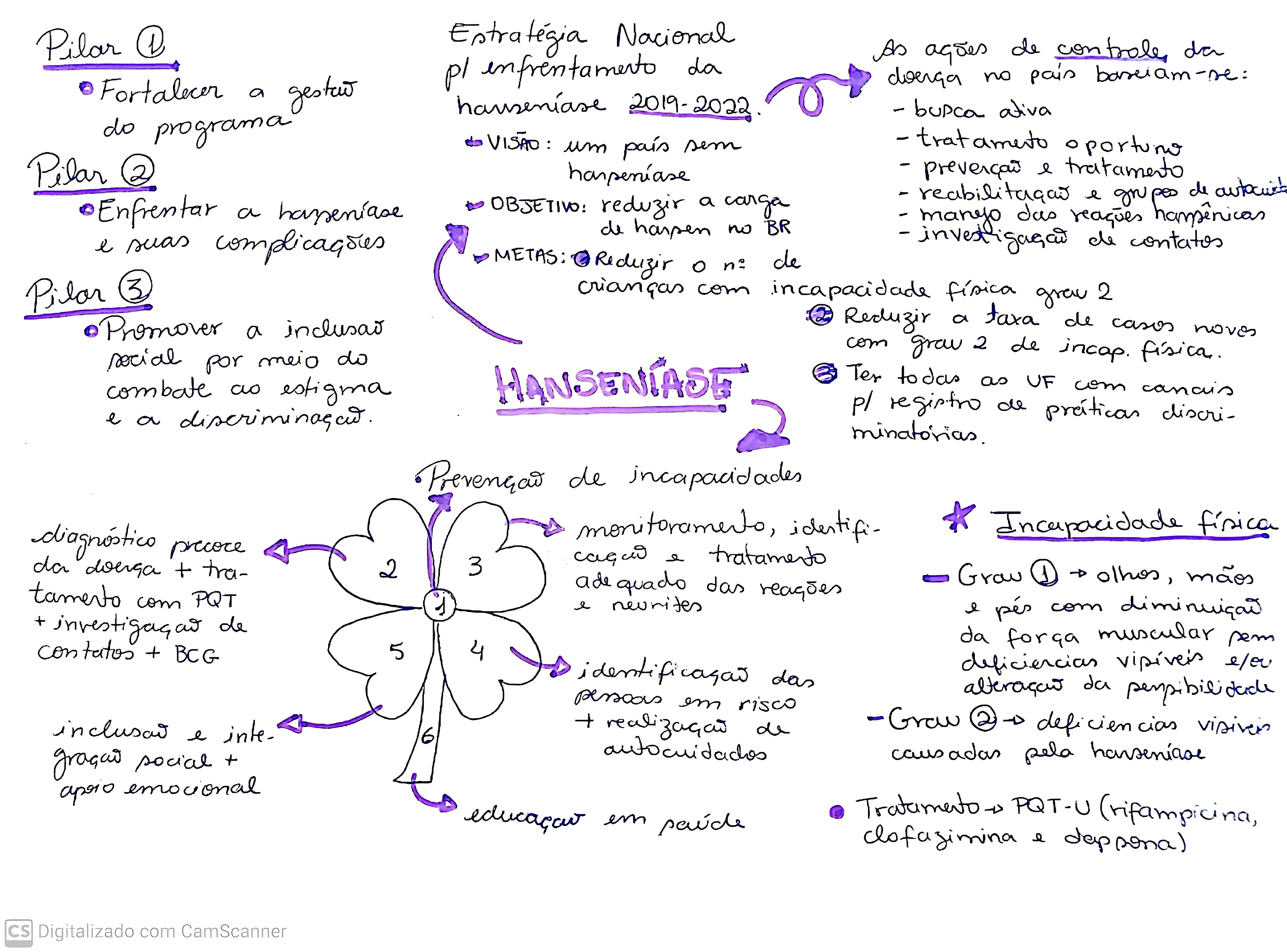 MAPA MENTAL SOBRE HANSENÍASE