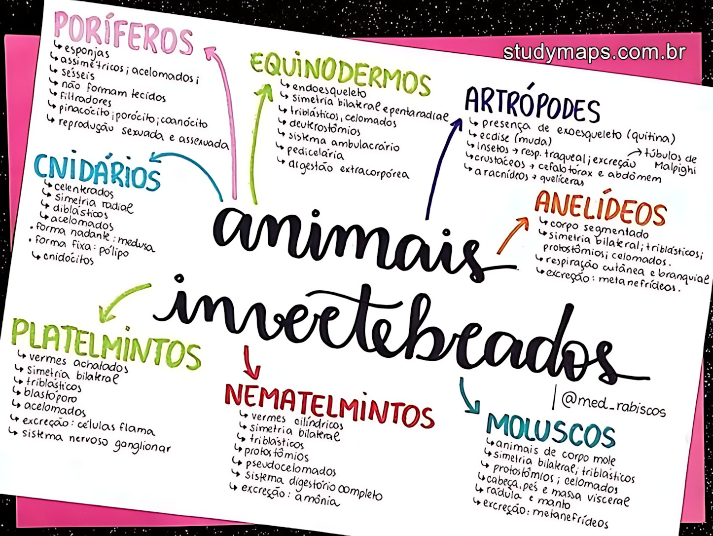 MAPA MENTAL SOBRE INVERTEBRADOS