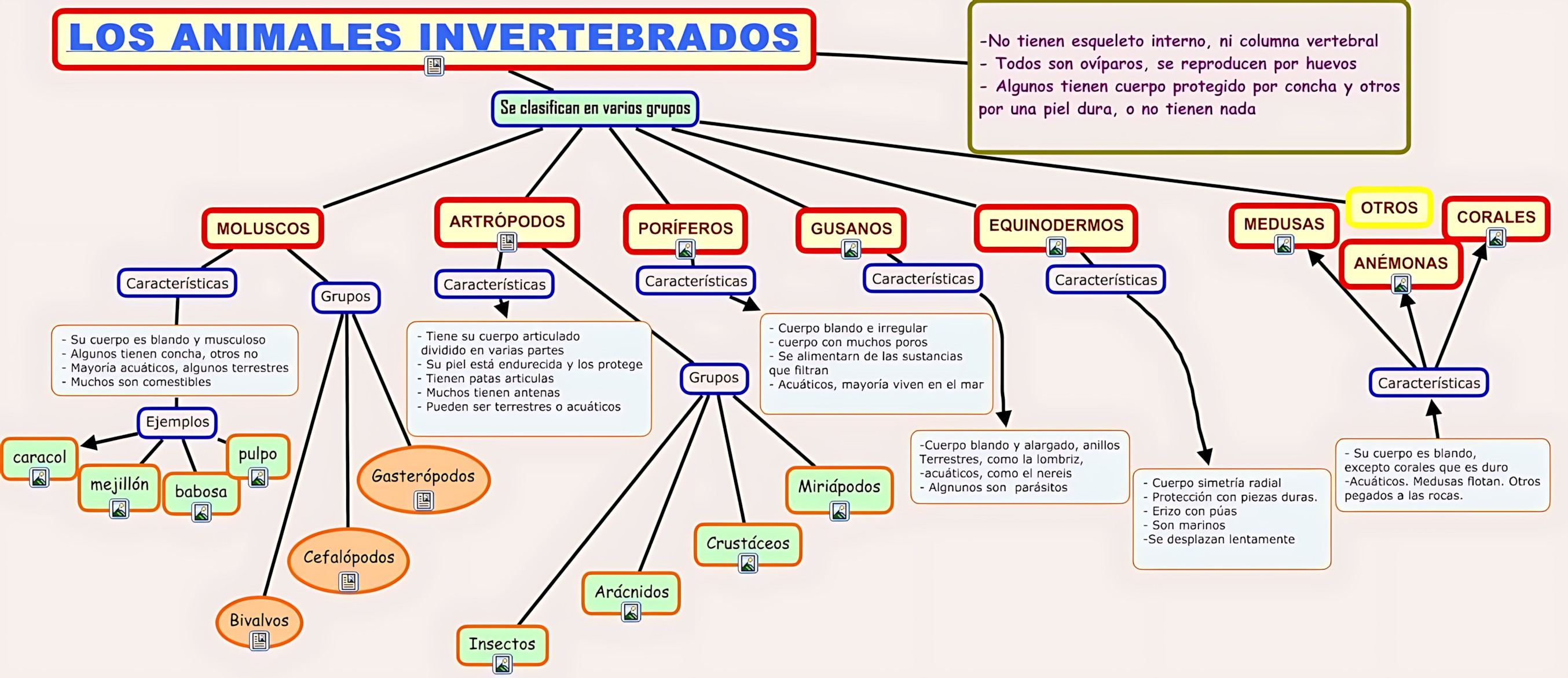 MAPA MENTAL SOBRE INVERTEBRADOS