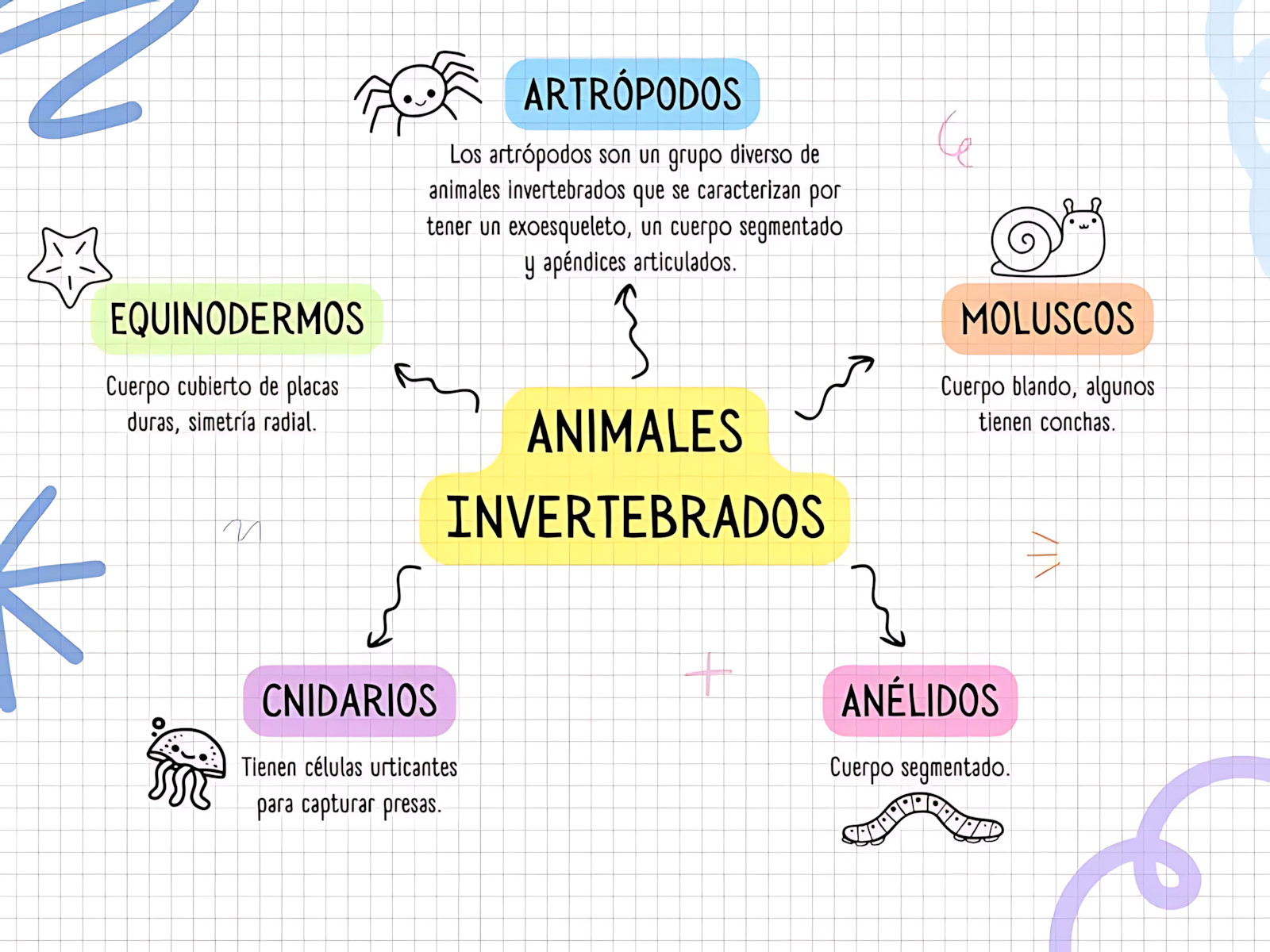 MAPA MENTAL SOBRE INVERTEBRADOS