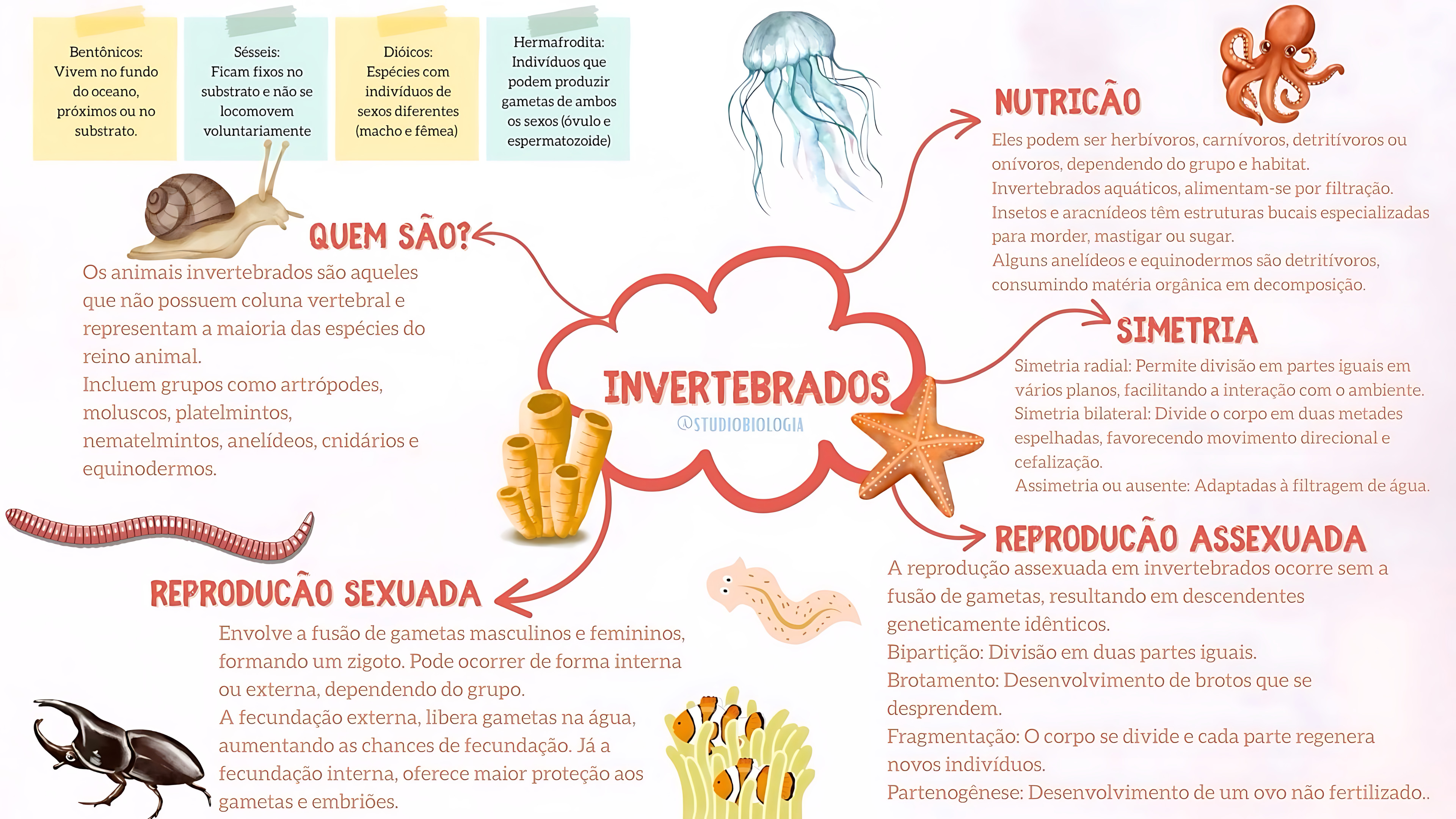 MAPA MENTAL SOBRE INVERTEBRADOS